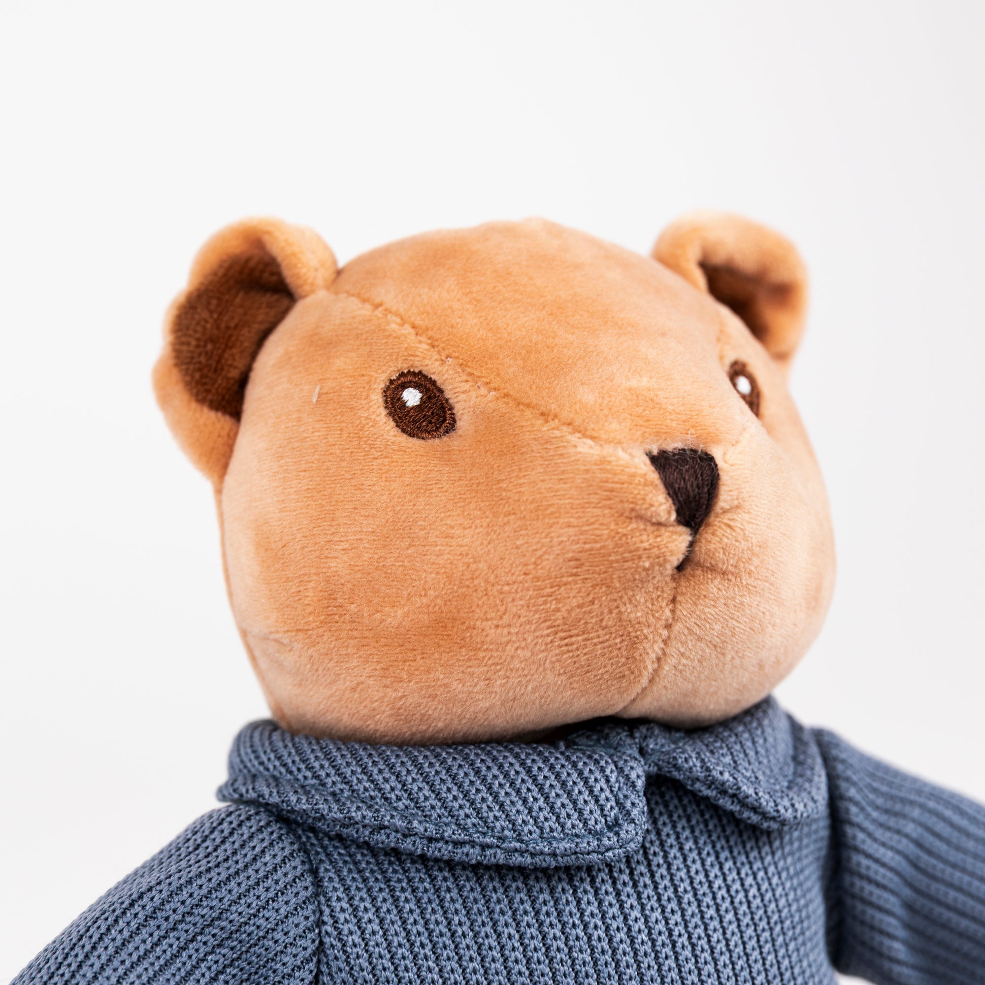 Alexis the Bear
