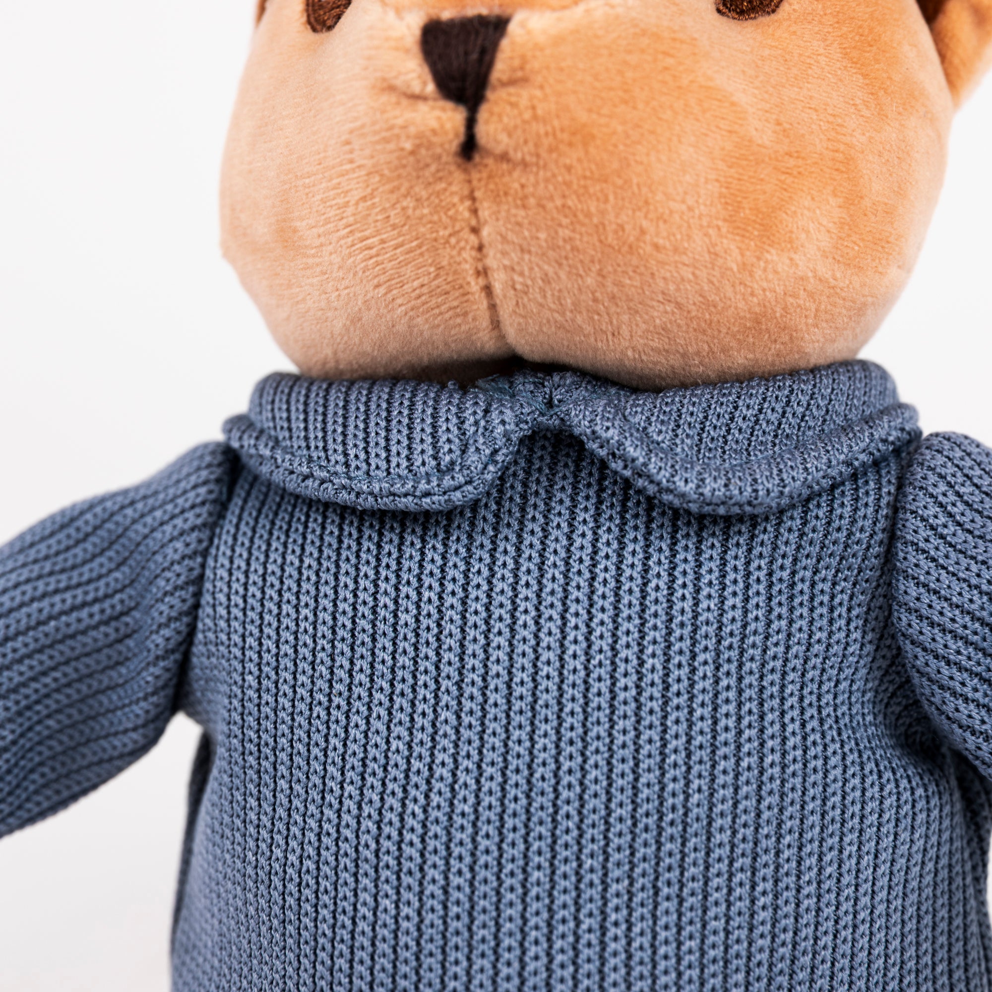 Alexis the Bear