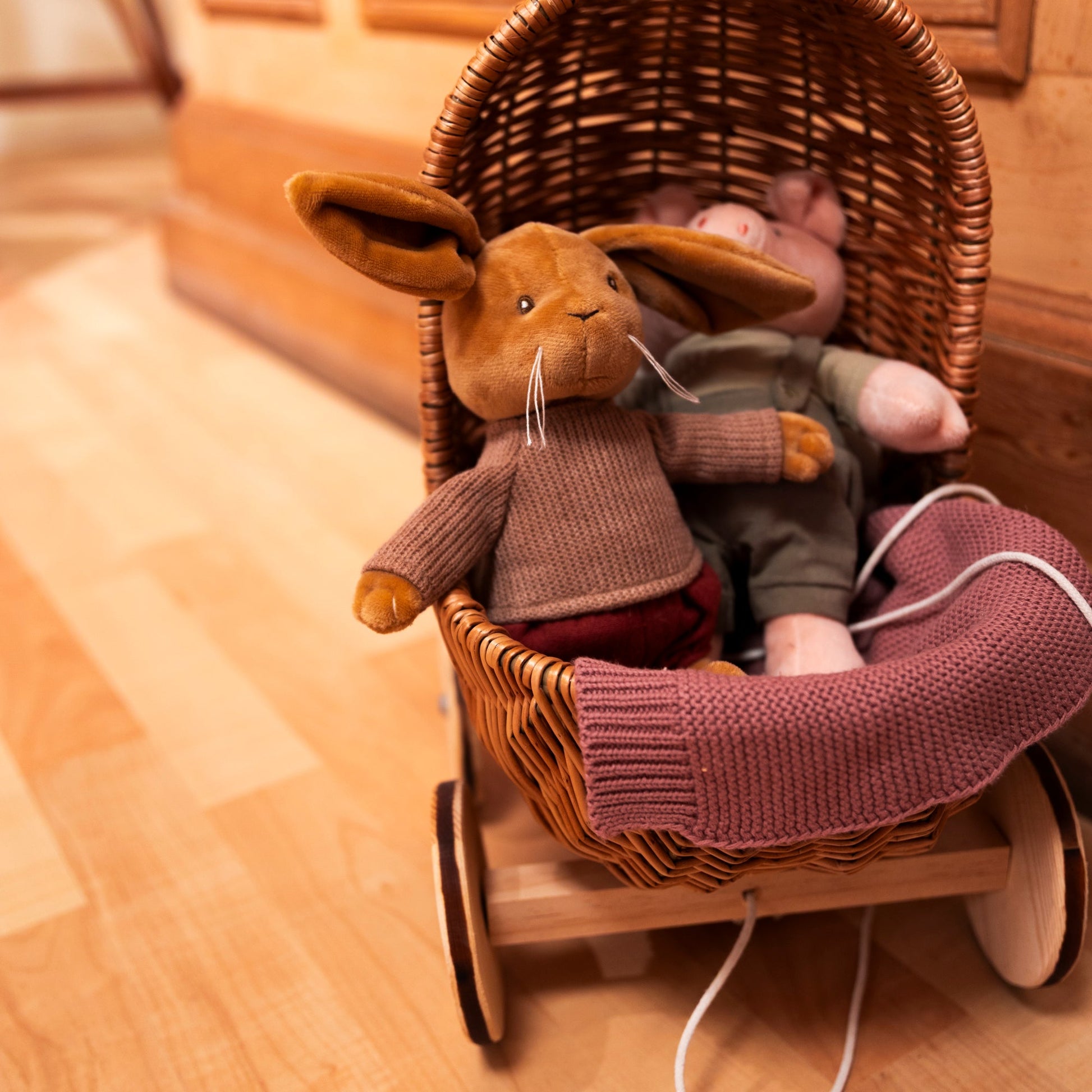 Lenny Rabbit