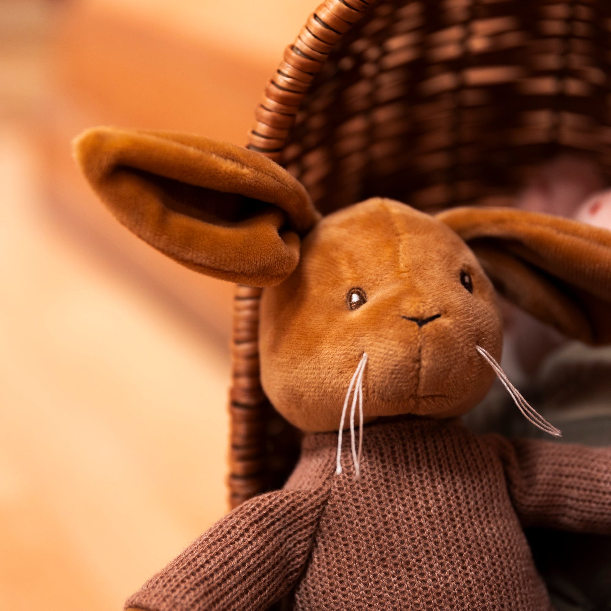 Lenny Rabbit