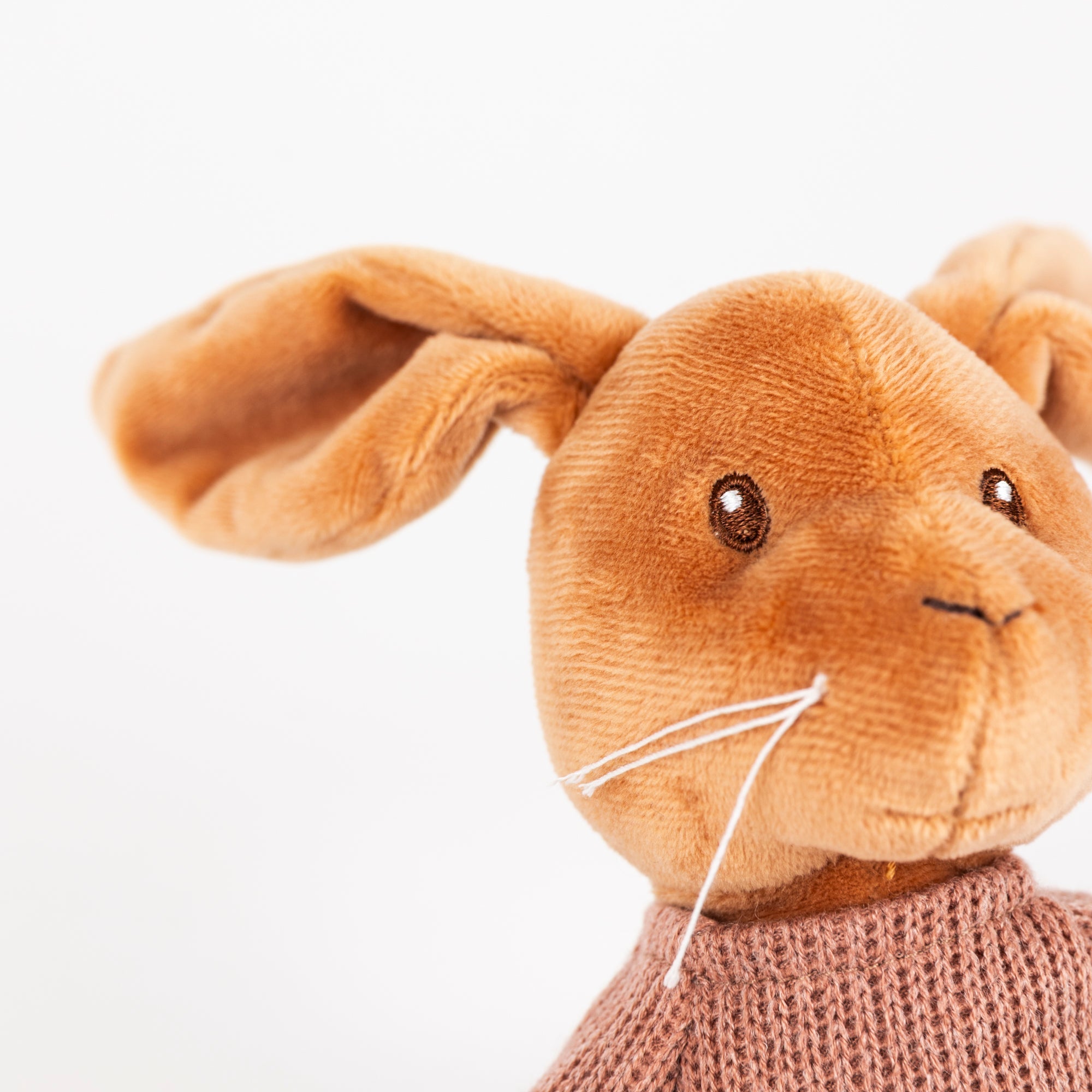 Lenny Rabbit