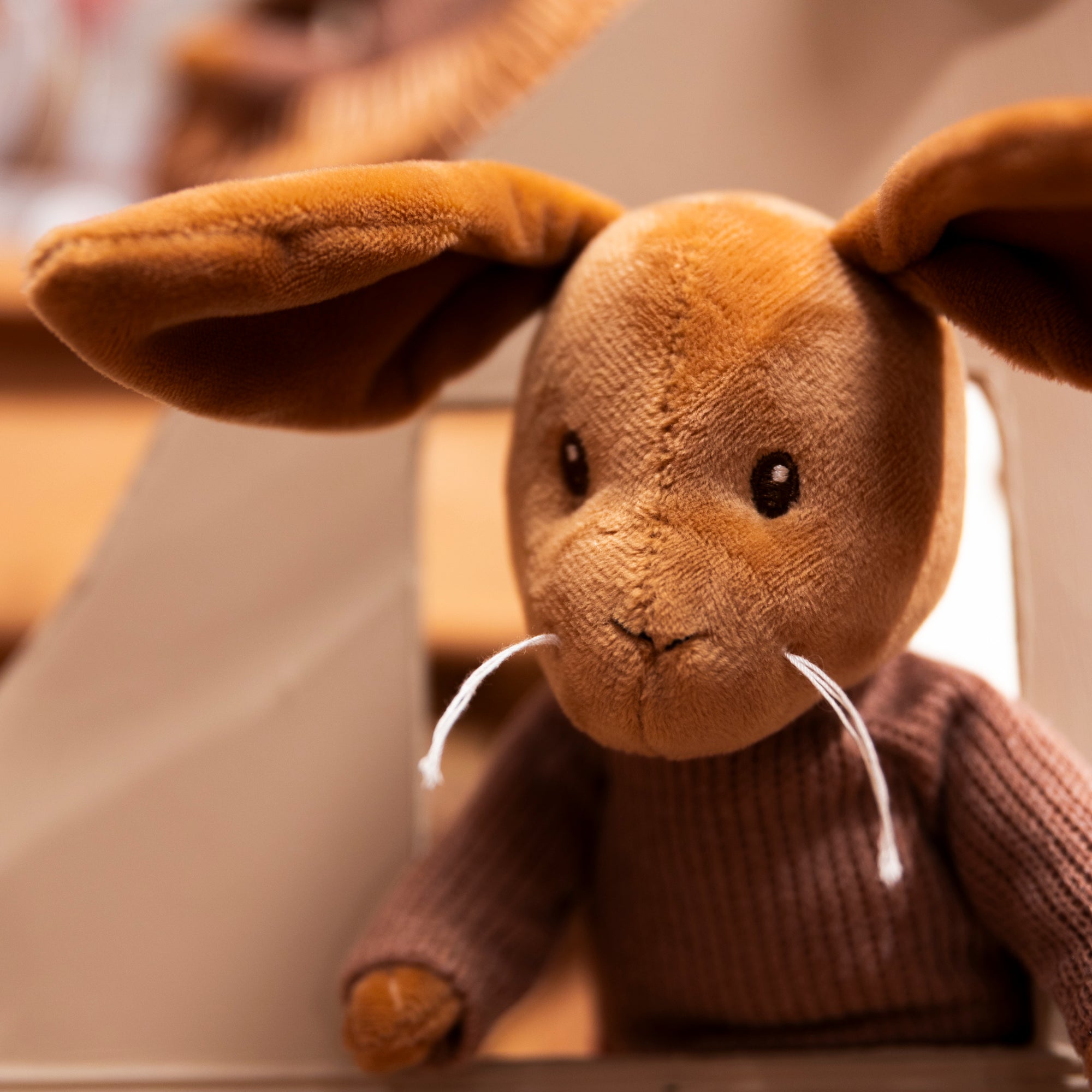 Lenny Rabbit
