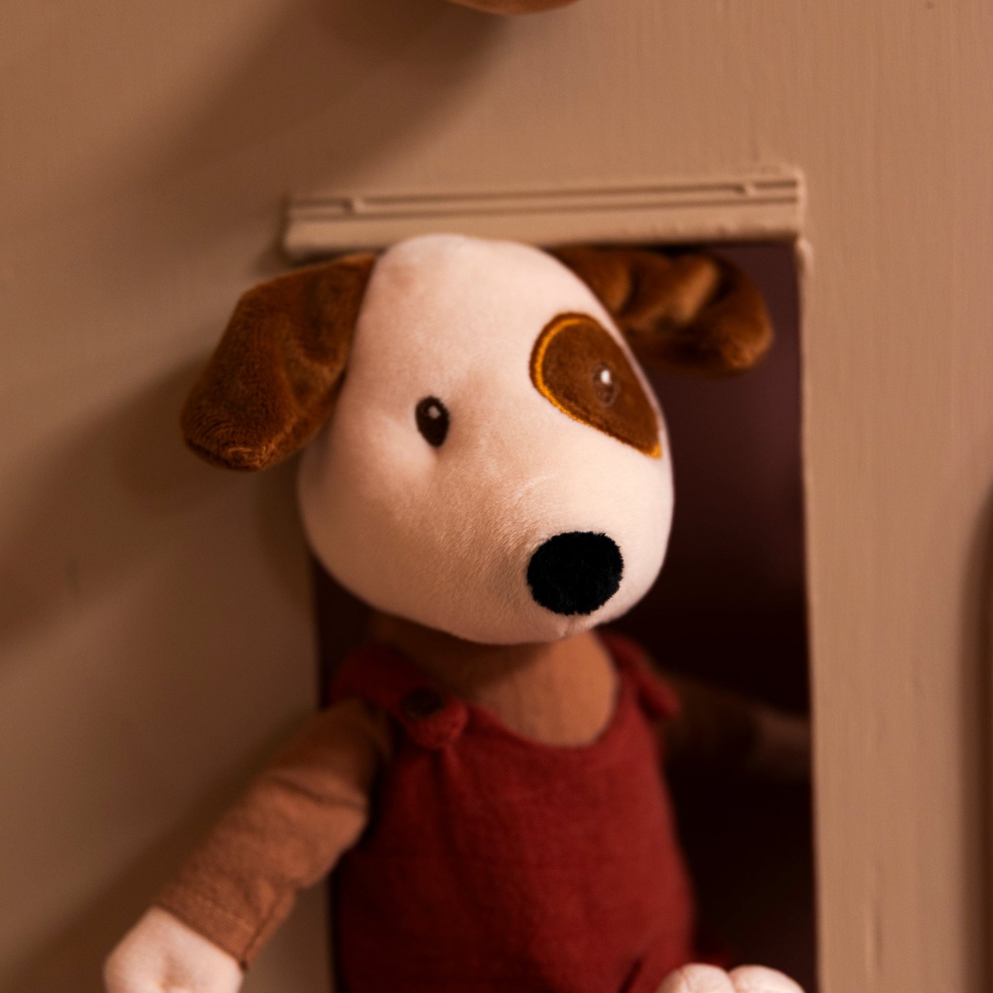 Eddie Dog