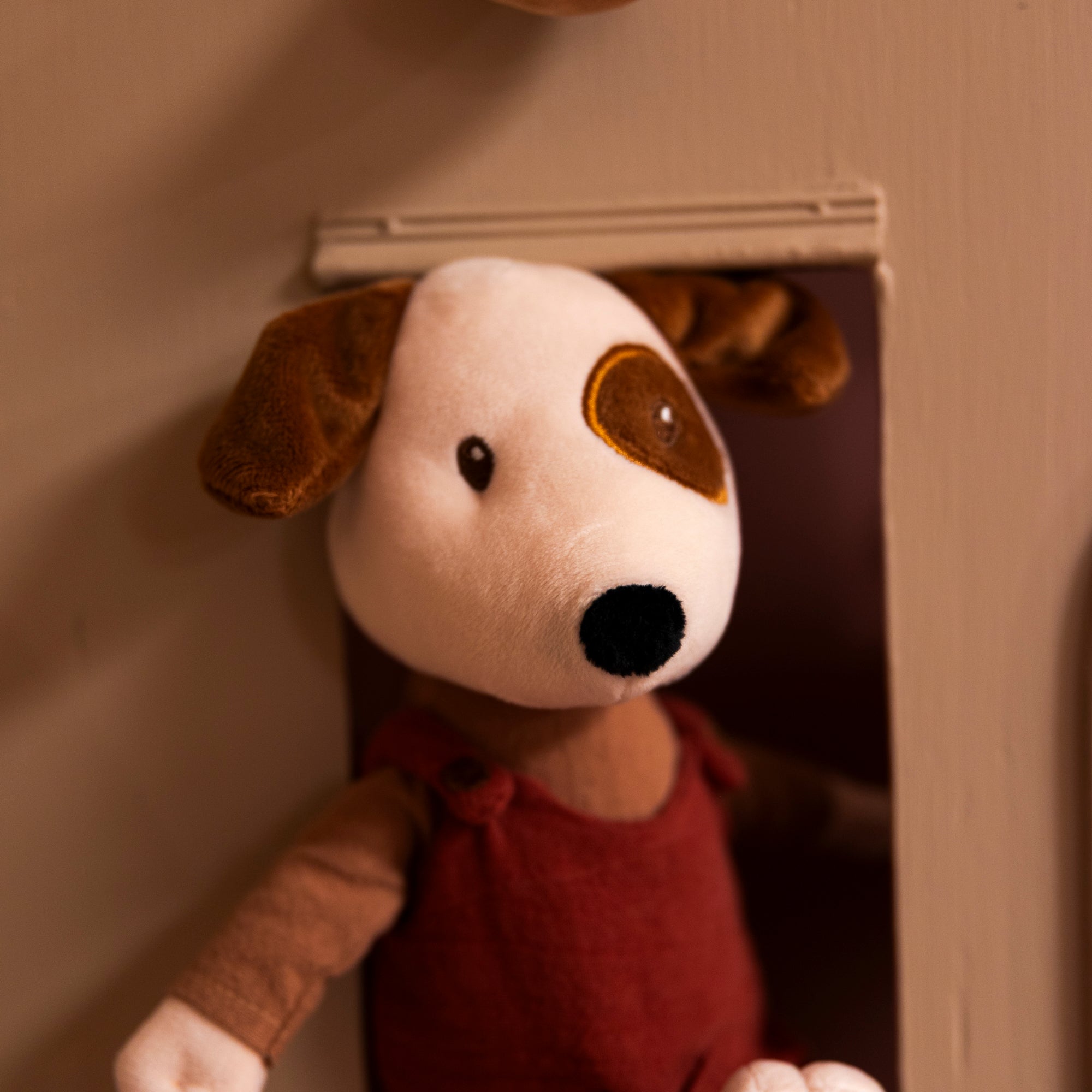 Eddie Dog