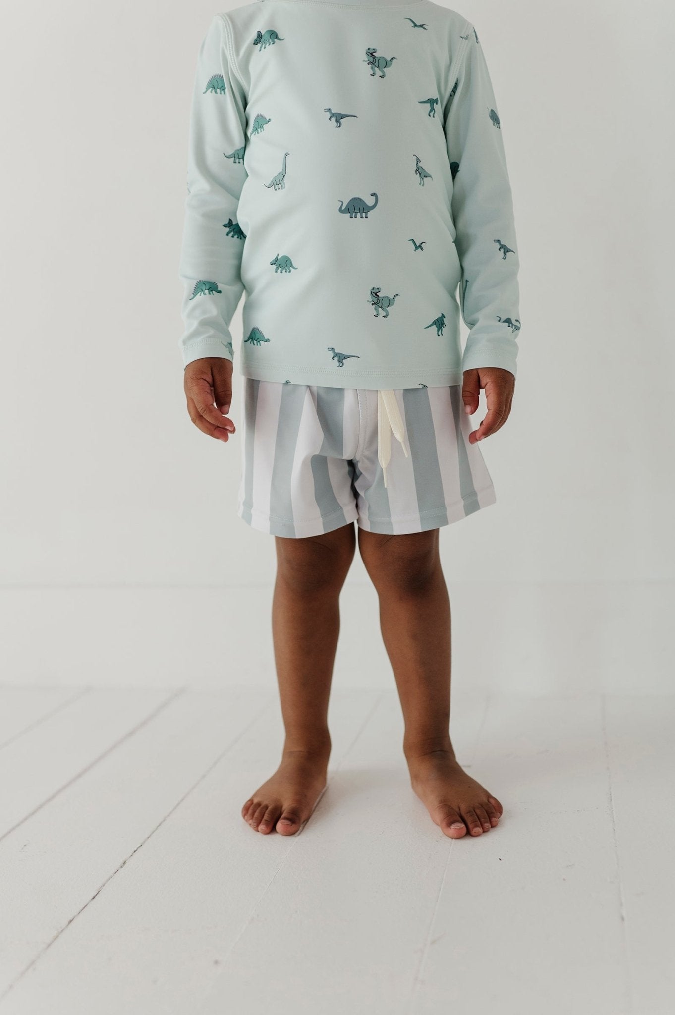 Boys Swim Shorts In Dinosaur
