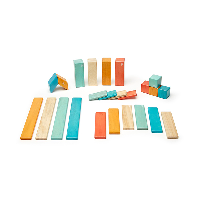 24-piece Set <br>magnetic Wooden Blocks <br>tegu Classics