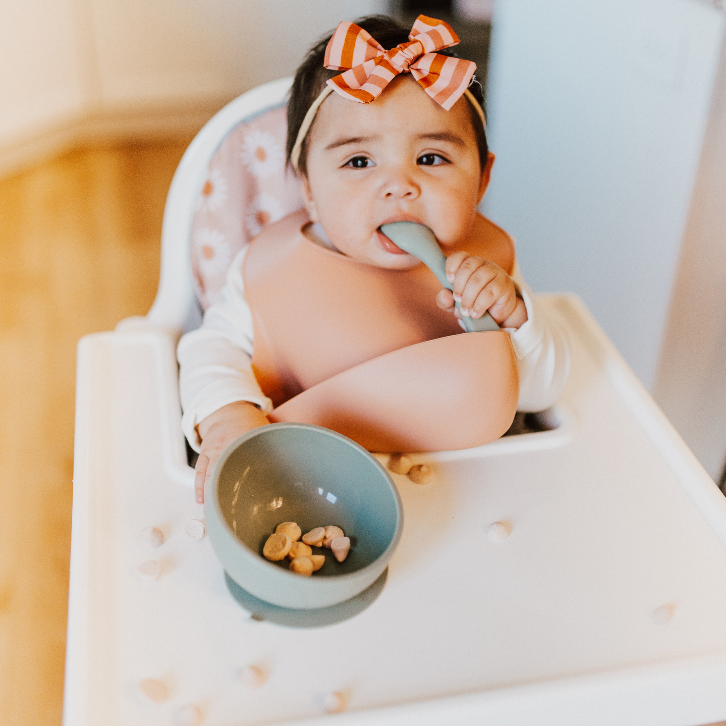 Dusty Rose Suction Bowl And Spoon Set