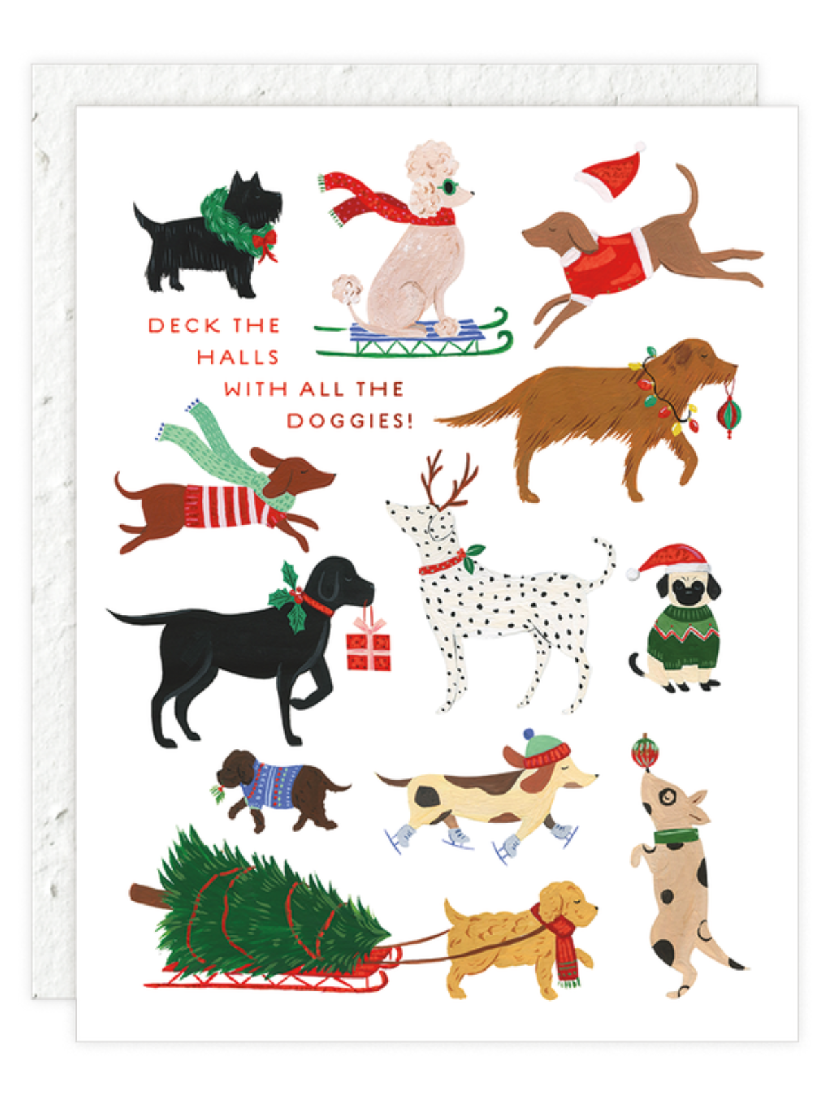 12 Dogs Of Christmas - Seeded Holiday Card