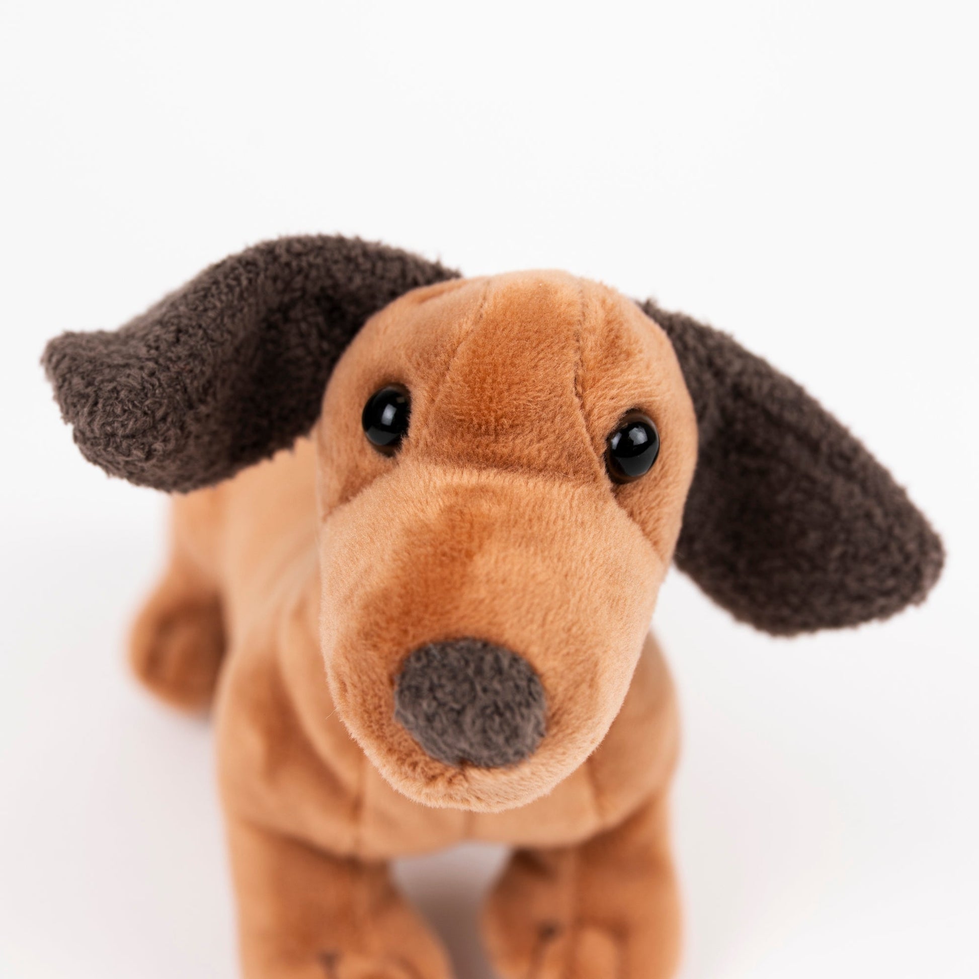 Plush Edward Stuffed Dog