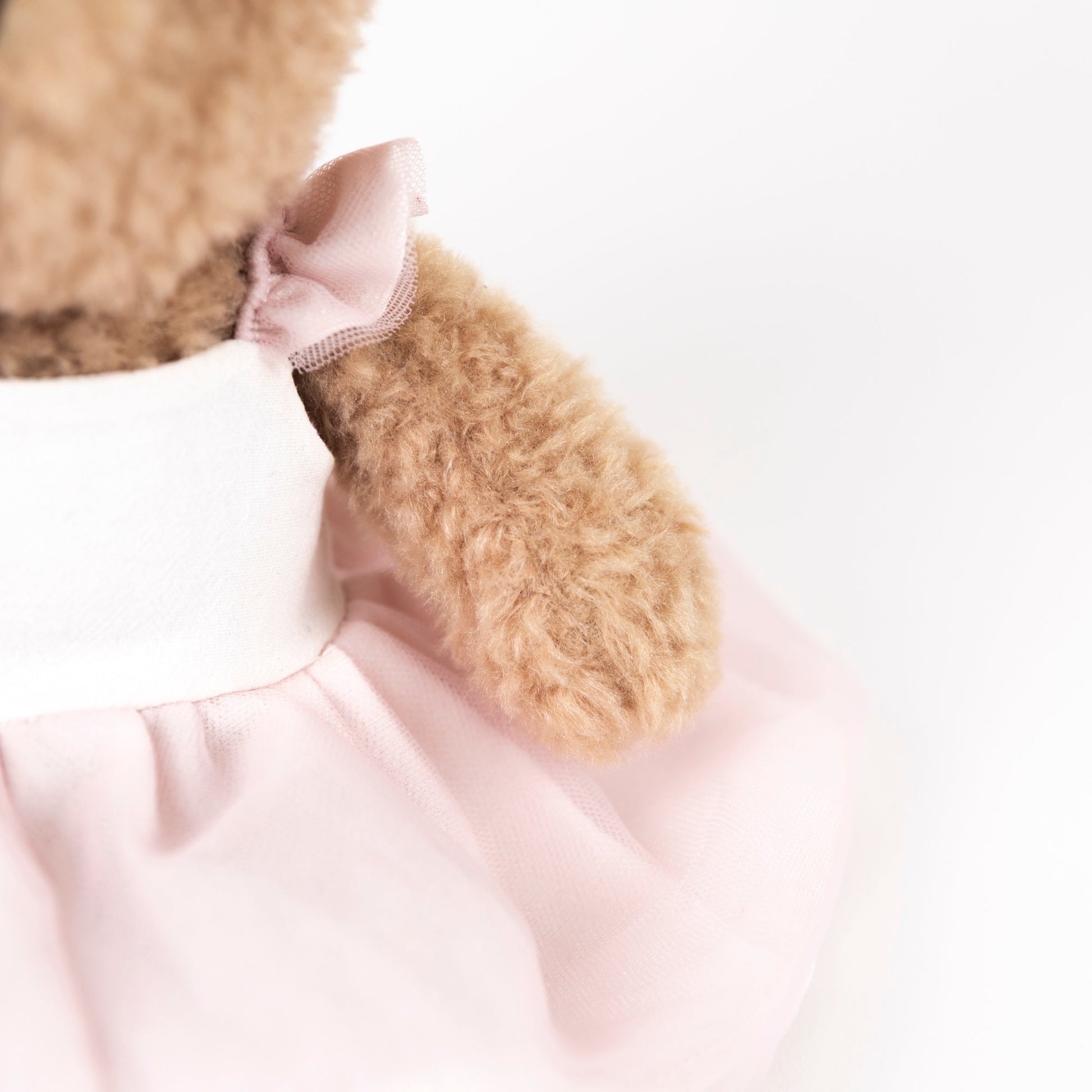 Plush Dancer Bear Gift Pack