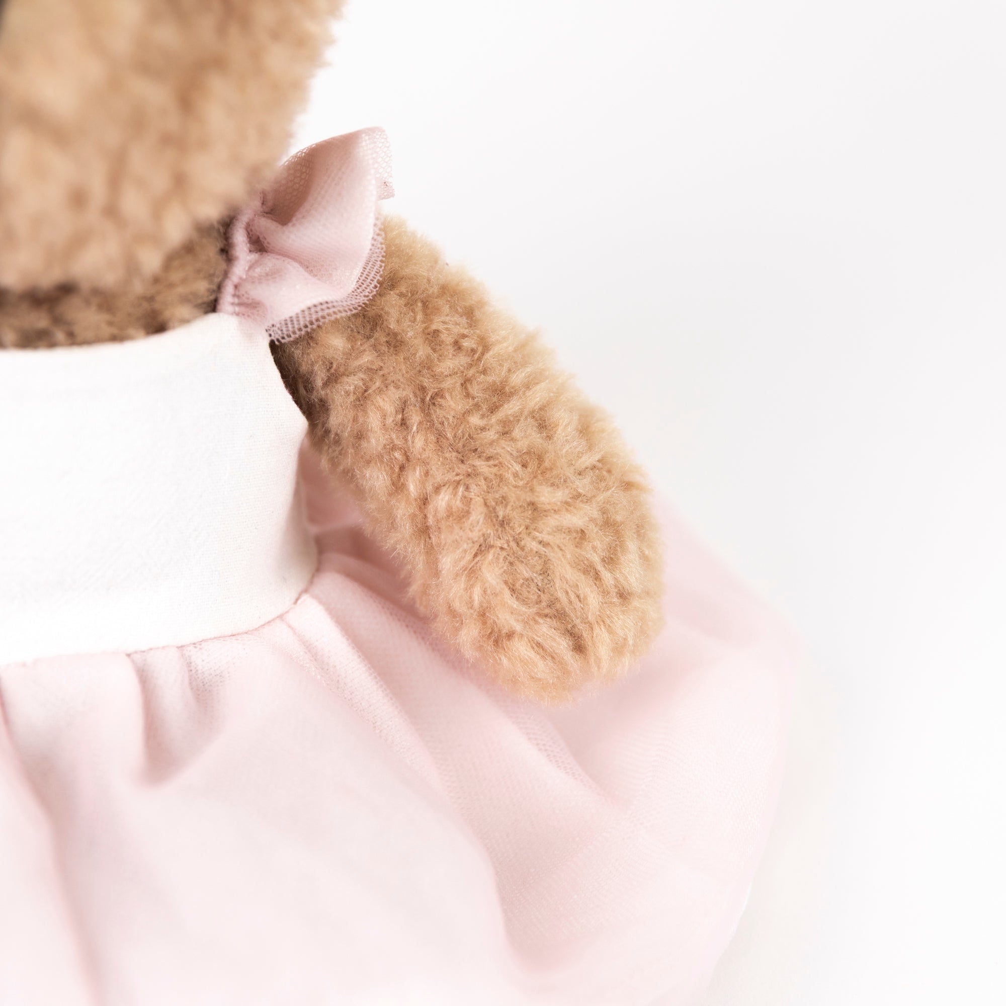 Plush Dancer Bear Gift Pack