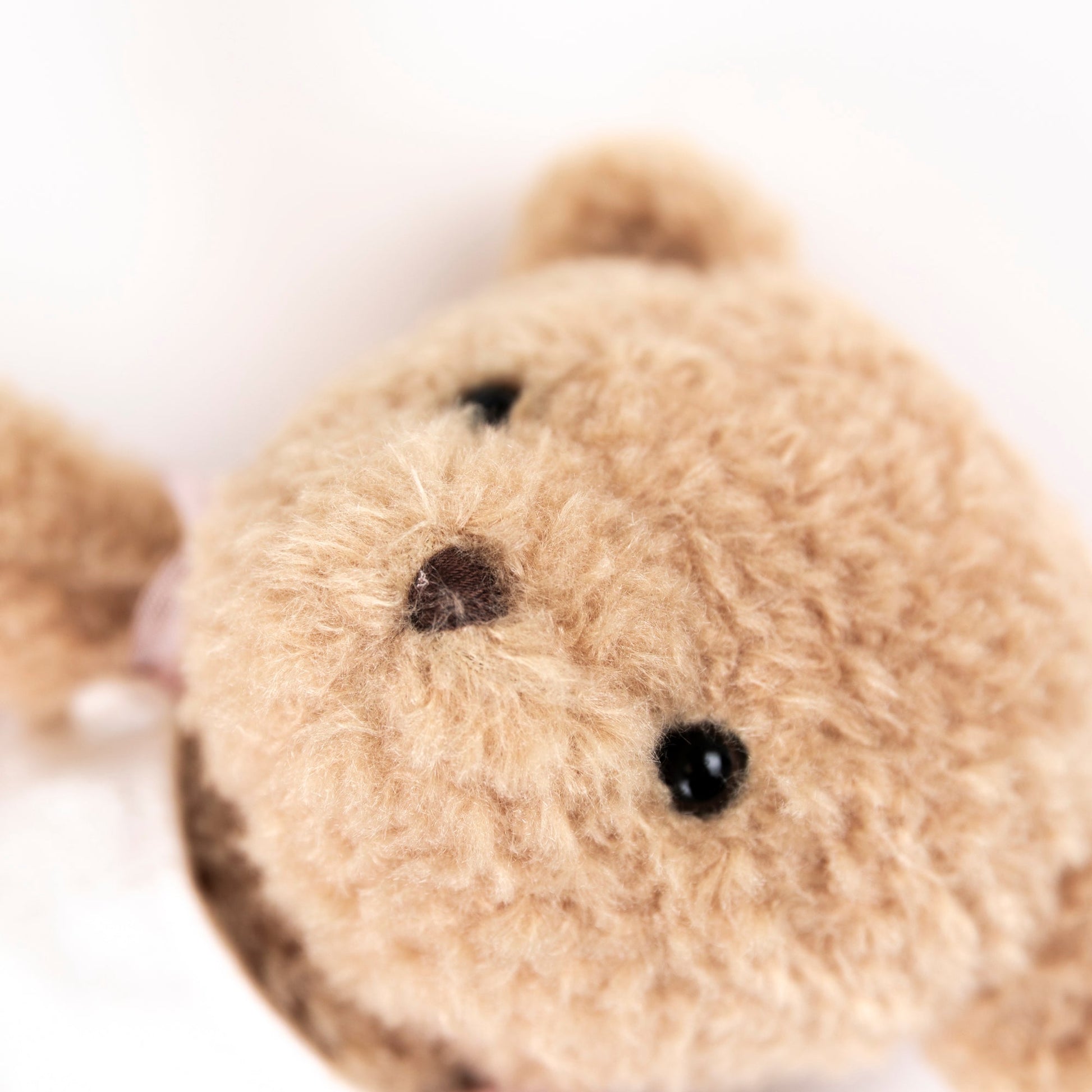 Plush Dancer Bear Gift Pack
