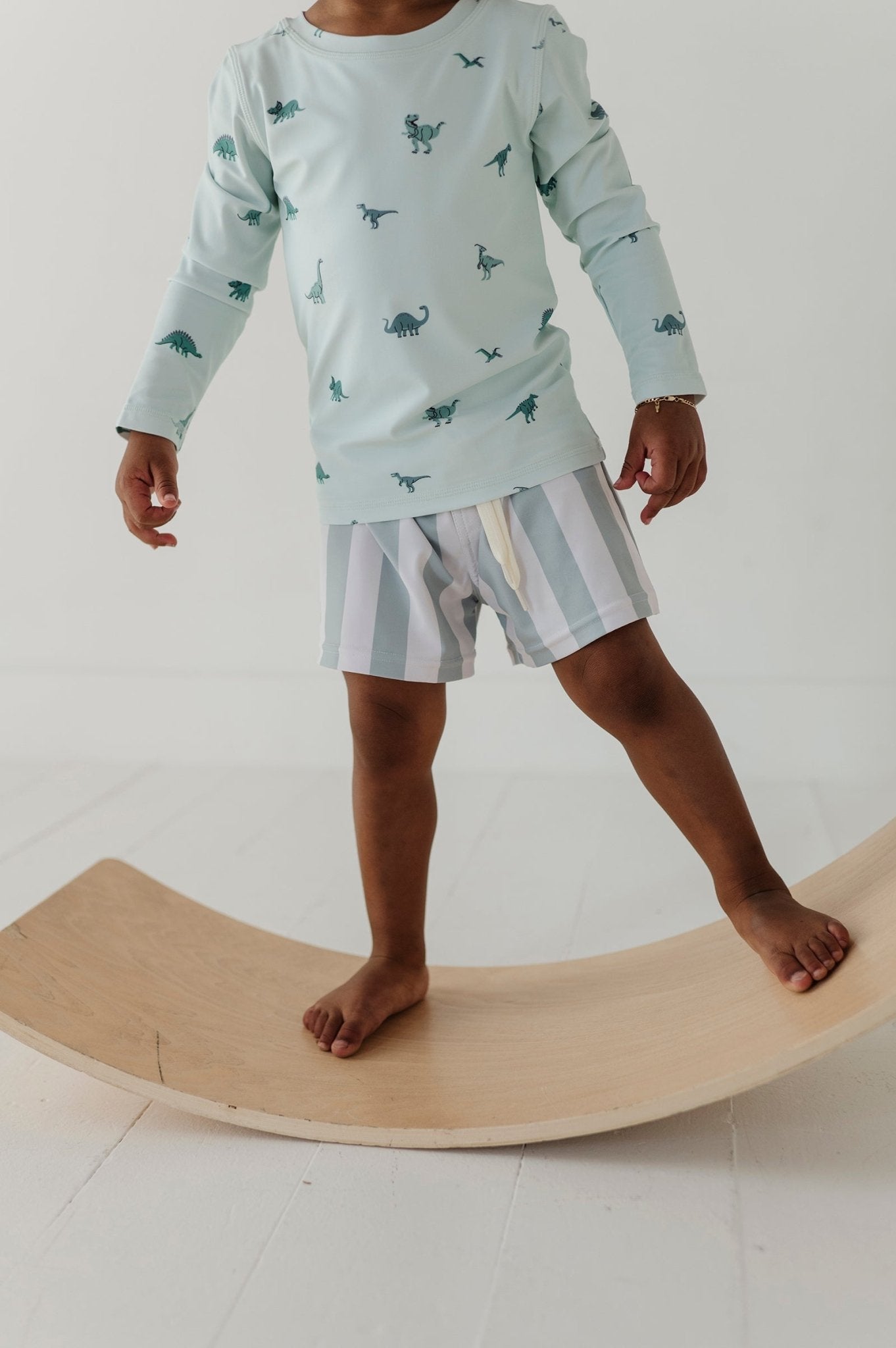 Boys Swim Shorts In Dinosaur