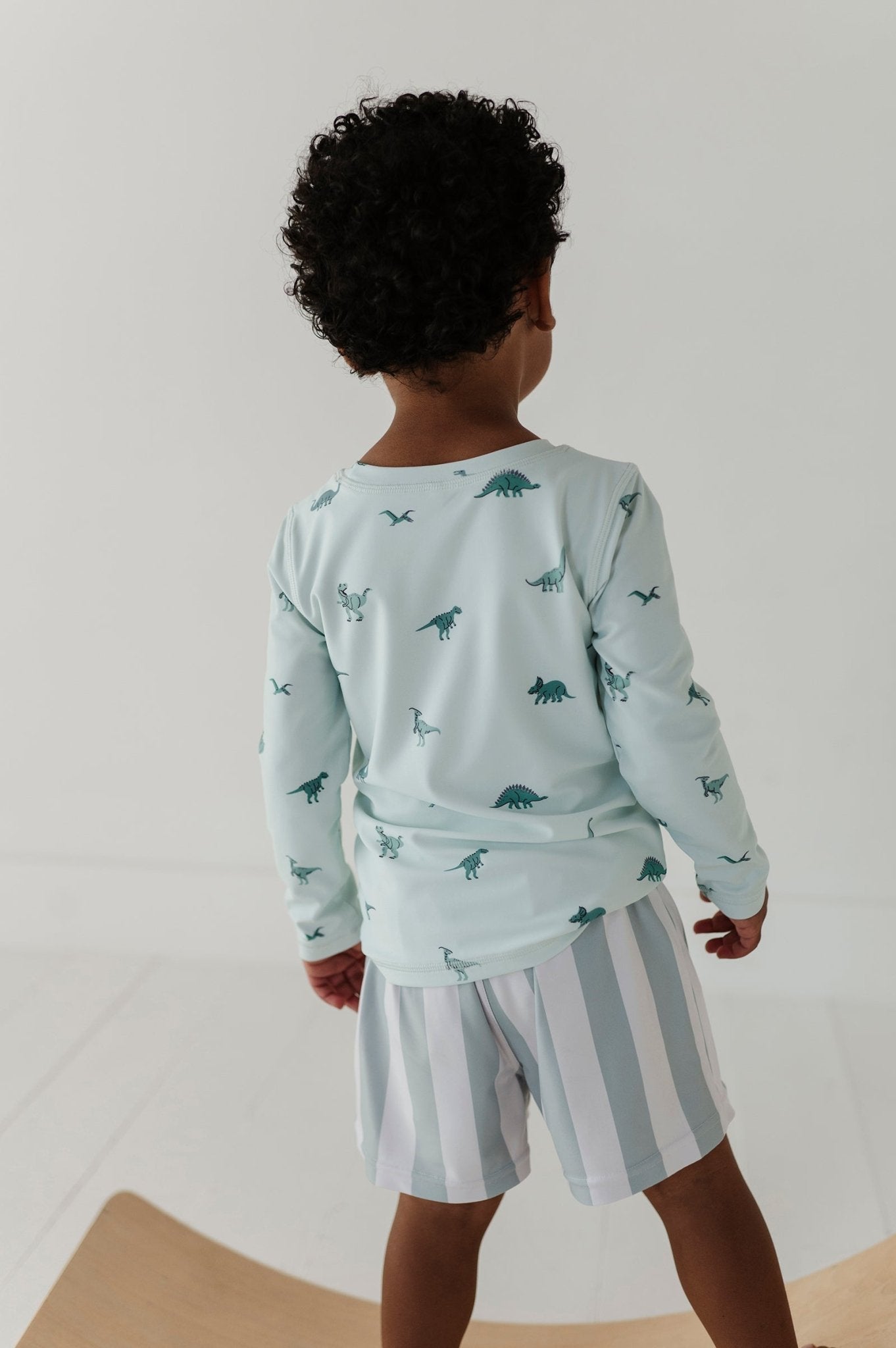 Boys Swim Shorts In Dinosaur