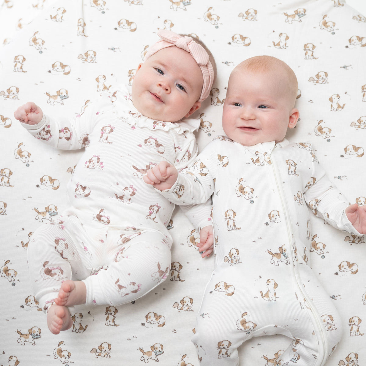 Explorer Puppy Pink - Long Sleeve Ruffle Top And Pant