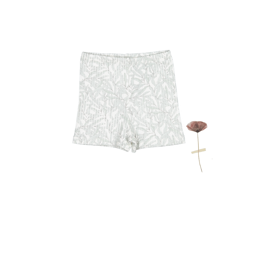 The Printed Short  - Willa