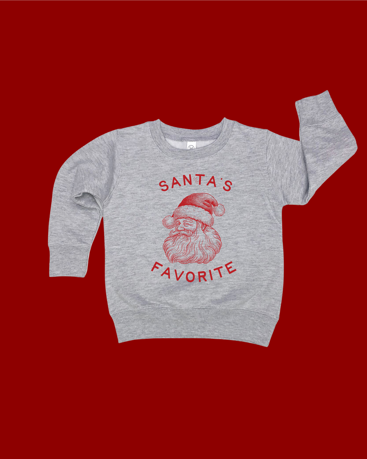 Santa's Favorite