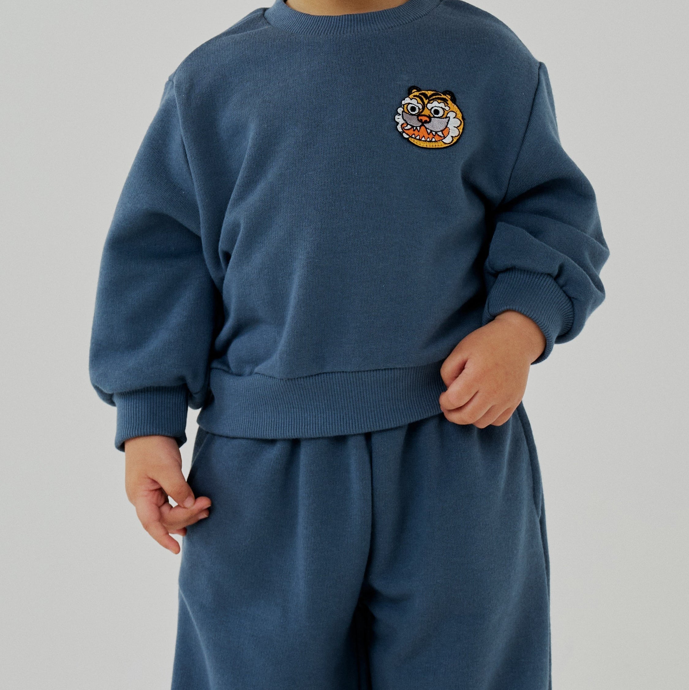 Tiger Sweatshirt Set