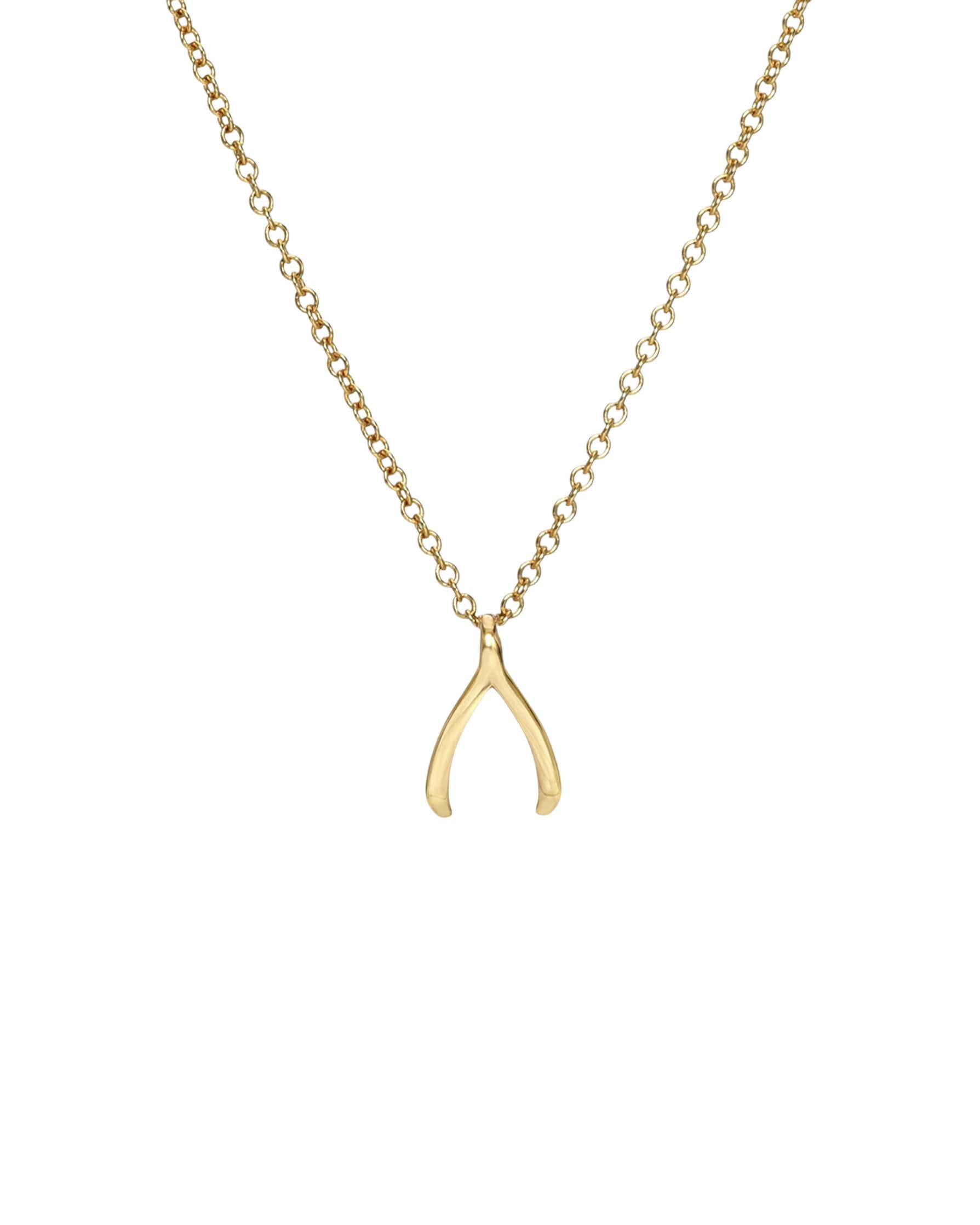 14k Gold Mini Wishbone Necklace