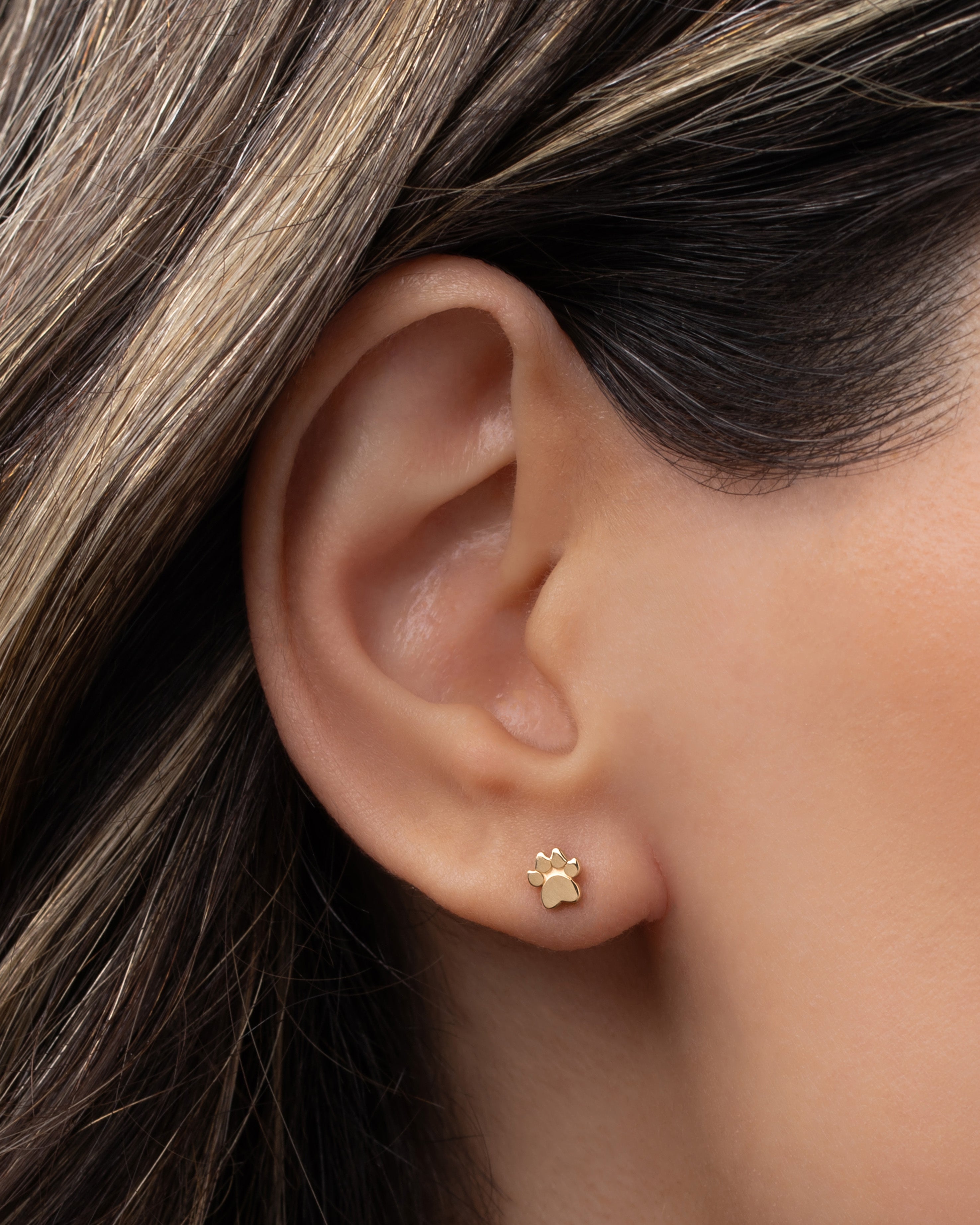 14k Gold Tiny Paw Stud Earring