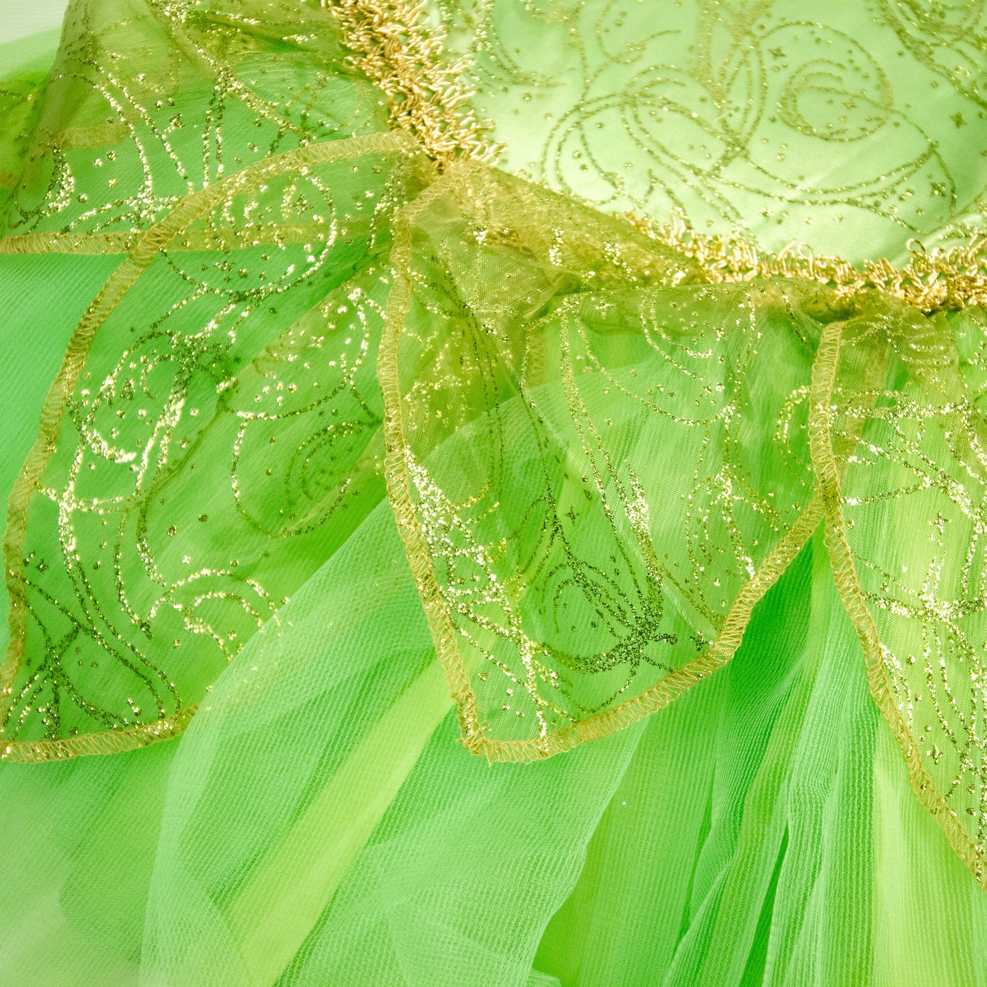 Enchanted Fairy Costume