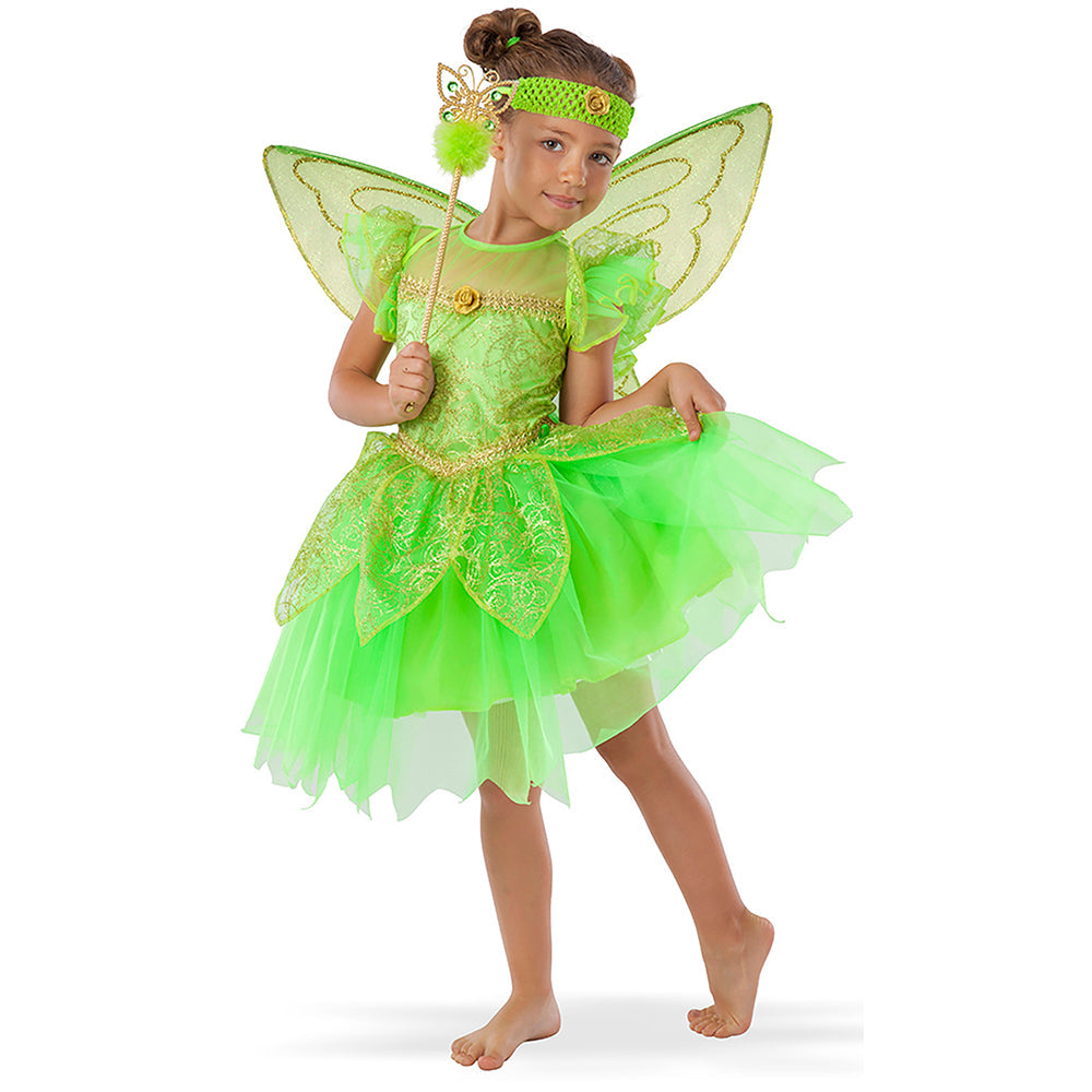 Enchanted Fairy Costume