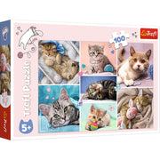 Red 100 Piece Kids Puzzle - In The Cat World