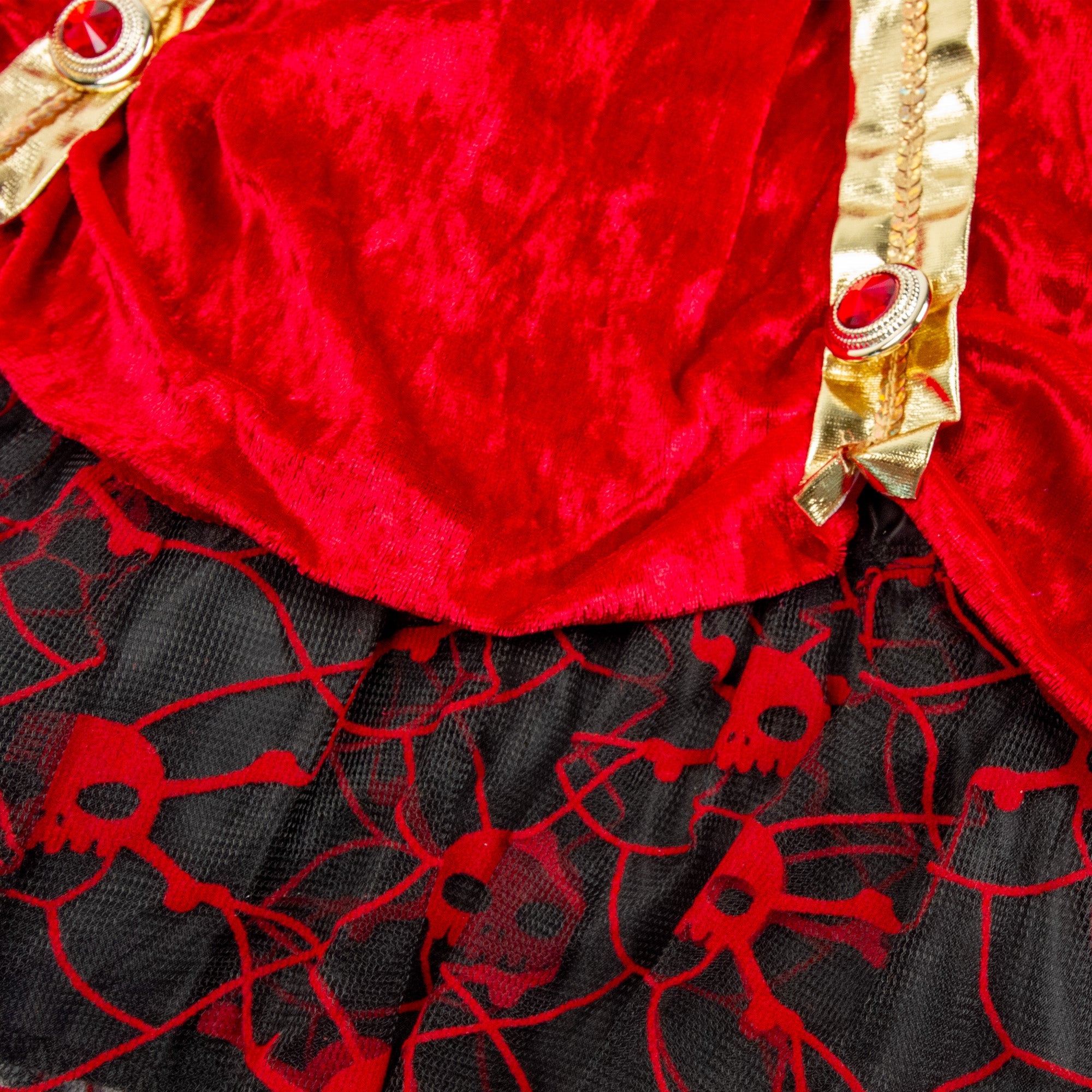 Pirate Princess Costume