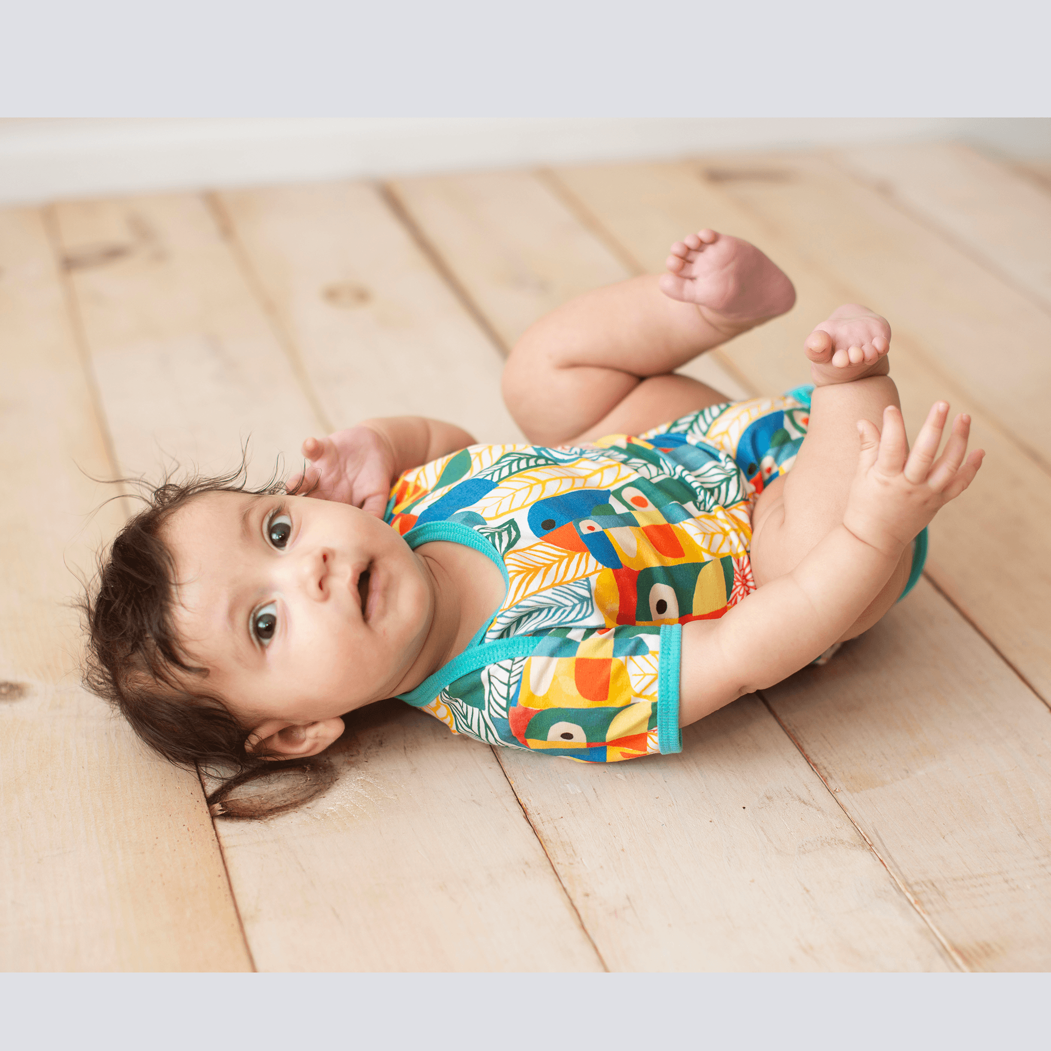 Wren Baby Body | Parrots