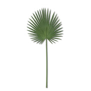 33 Inch Fan Palm Leaf Stem