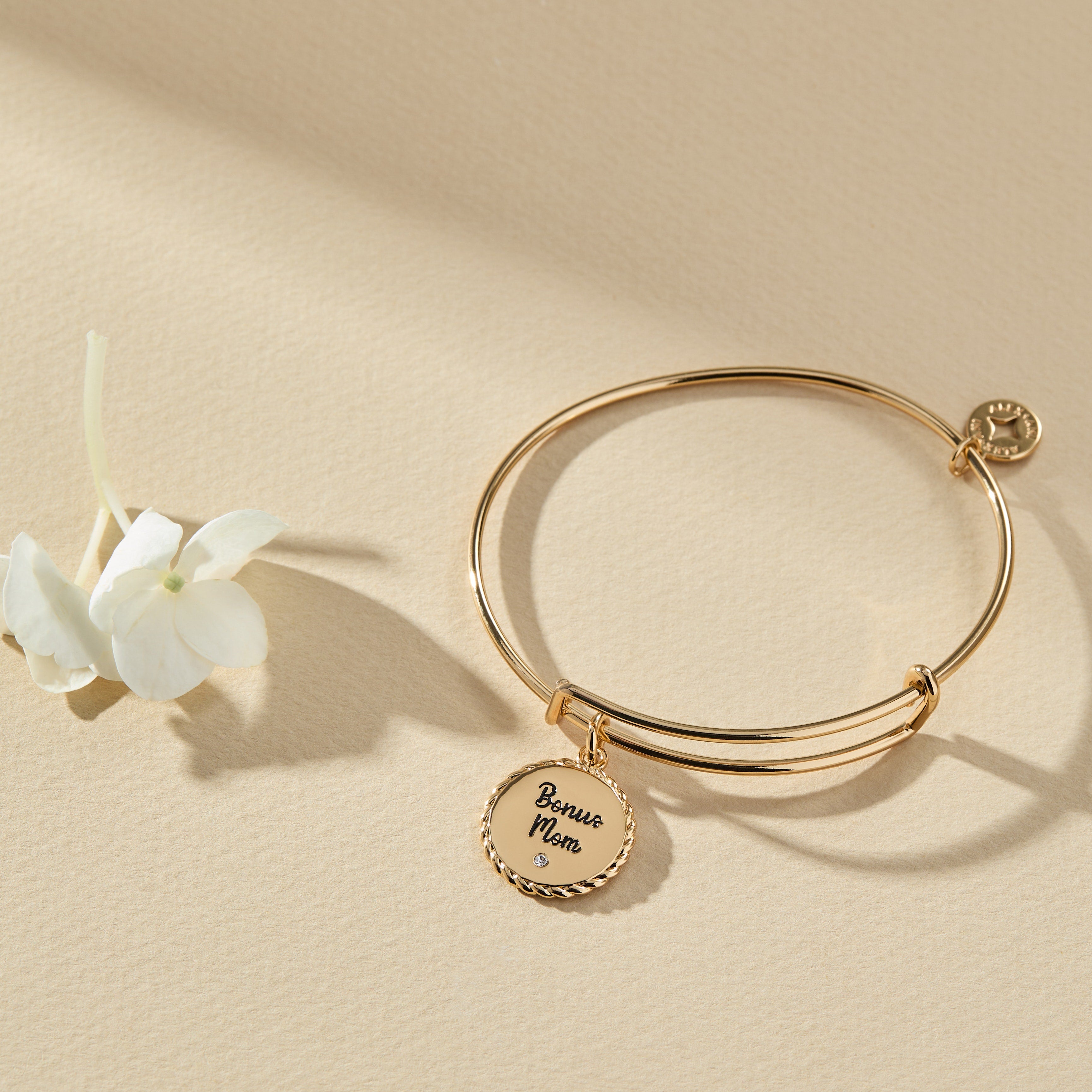 Bonus Mom 'family Isn't Only Blessed By Name' Charm Bangle