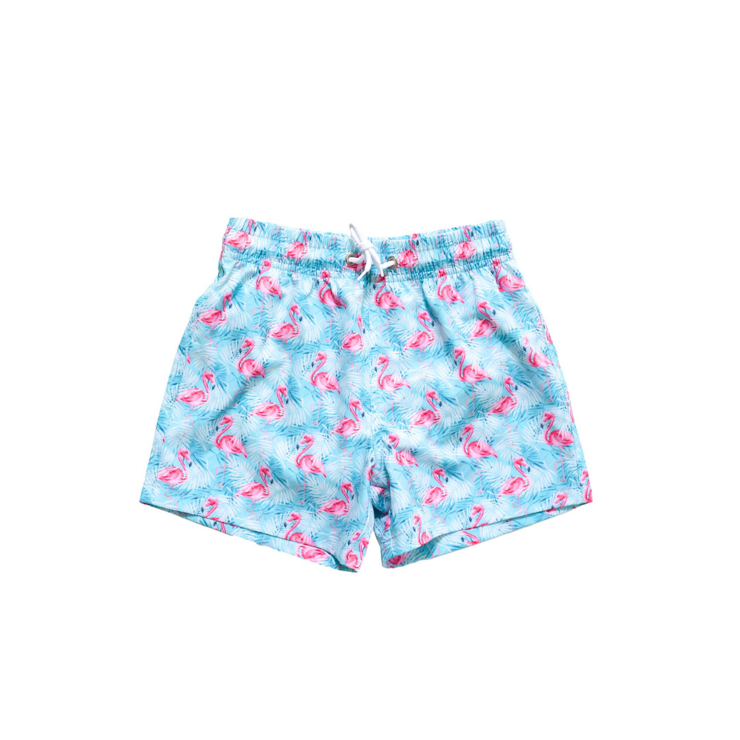 Playa Flamingo Trunks