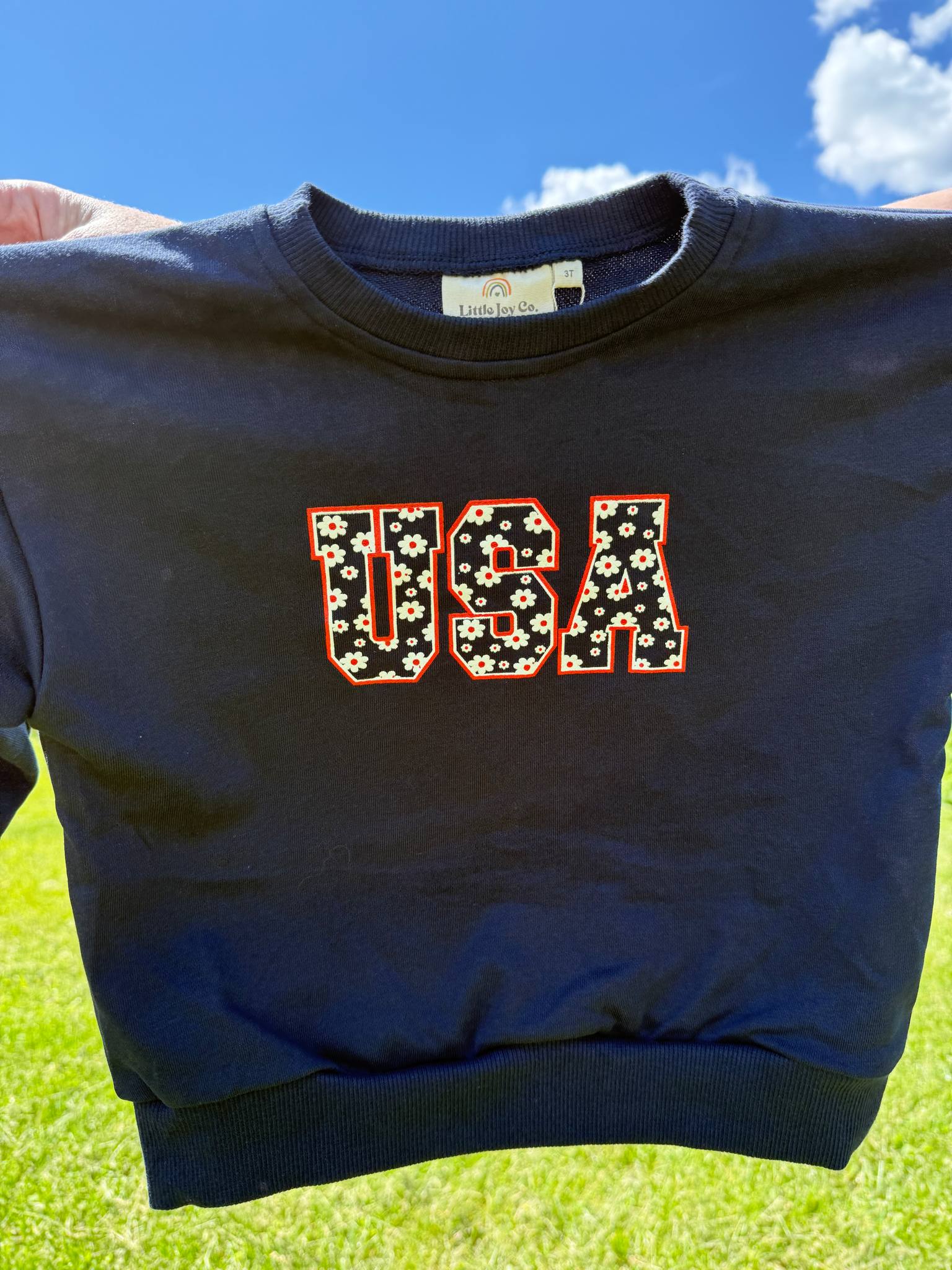 Usa Daisy Crewneck Sweatshirt - More Colors