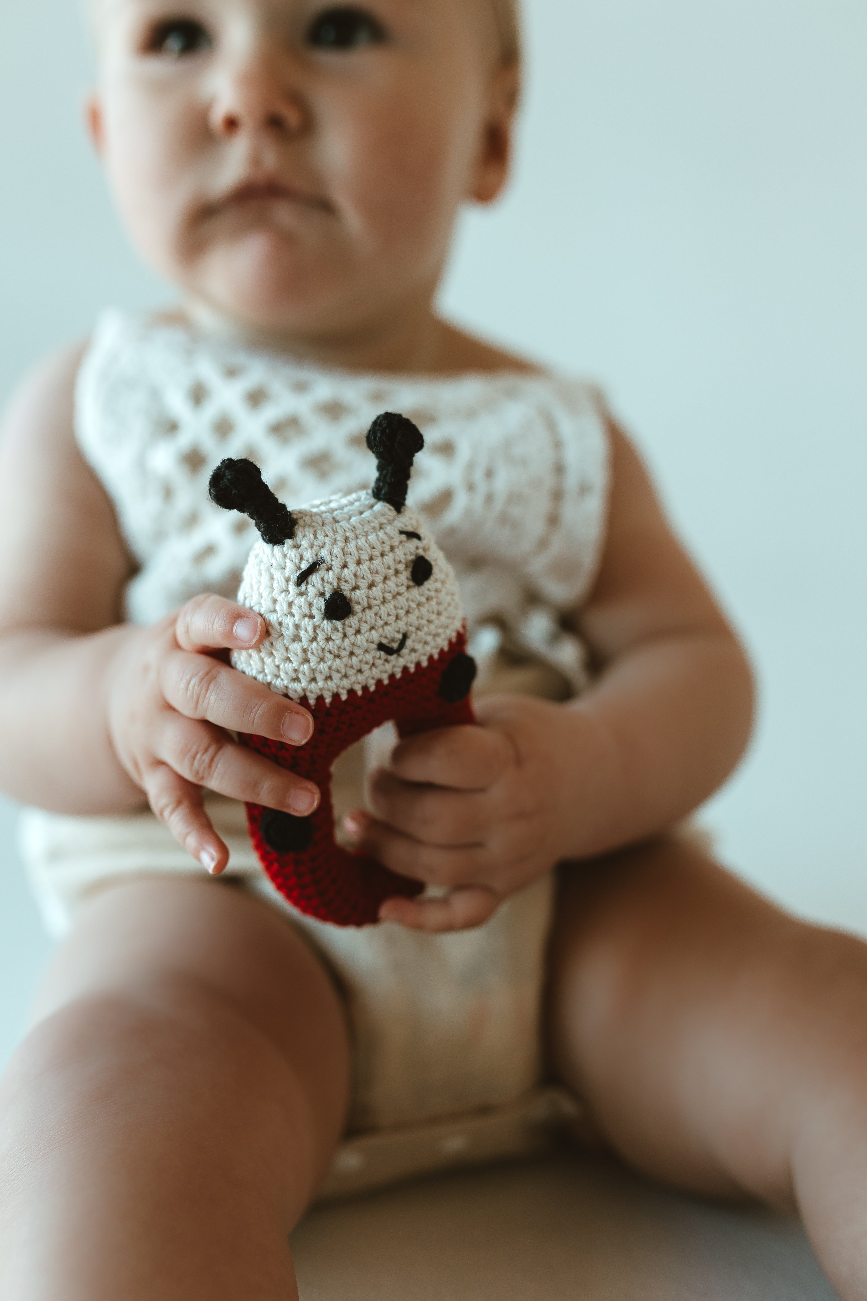 Crochet Ladybug Rattle