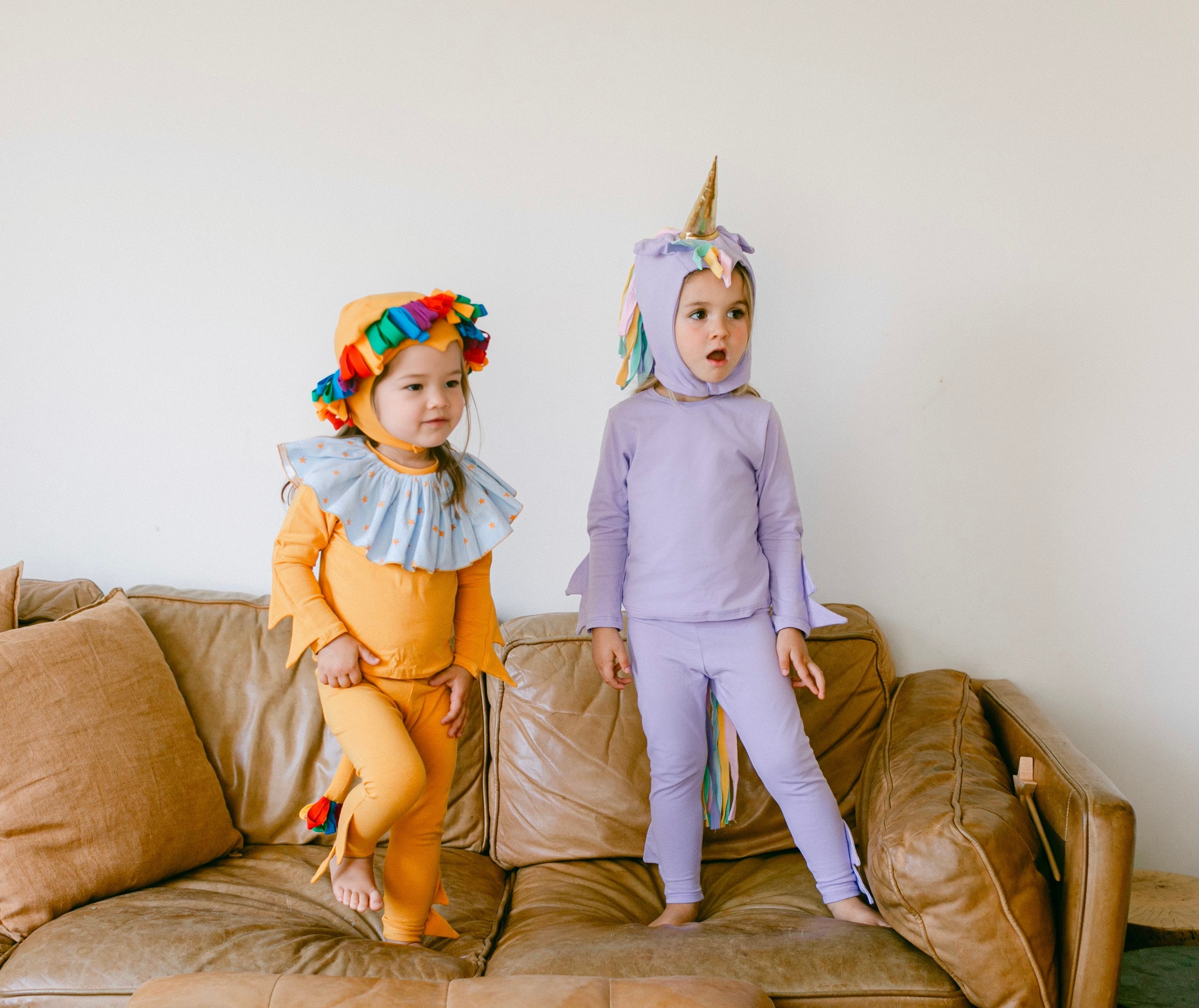 Rainbow Circus Lion Pajama Costume