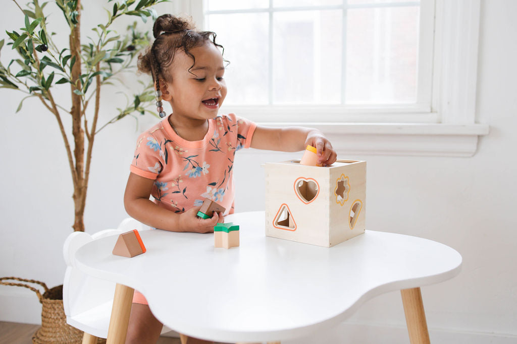 Friends & Shapes Wooden Sorter