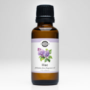 Lilac Phthalate-free Fragrance Oil
