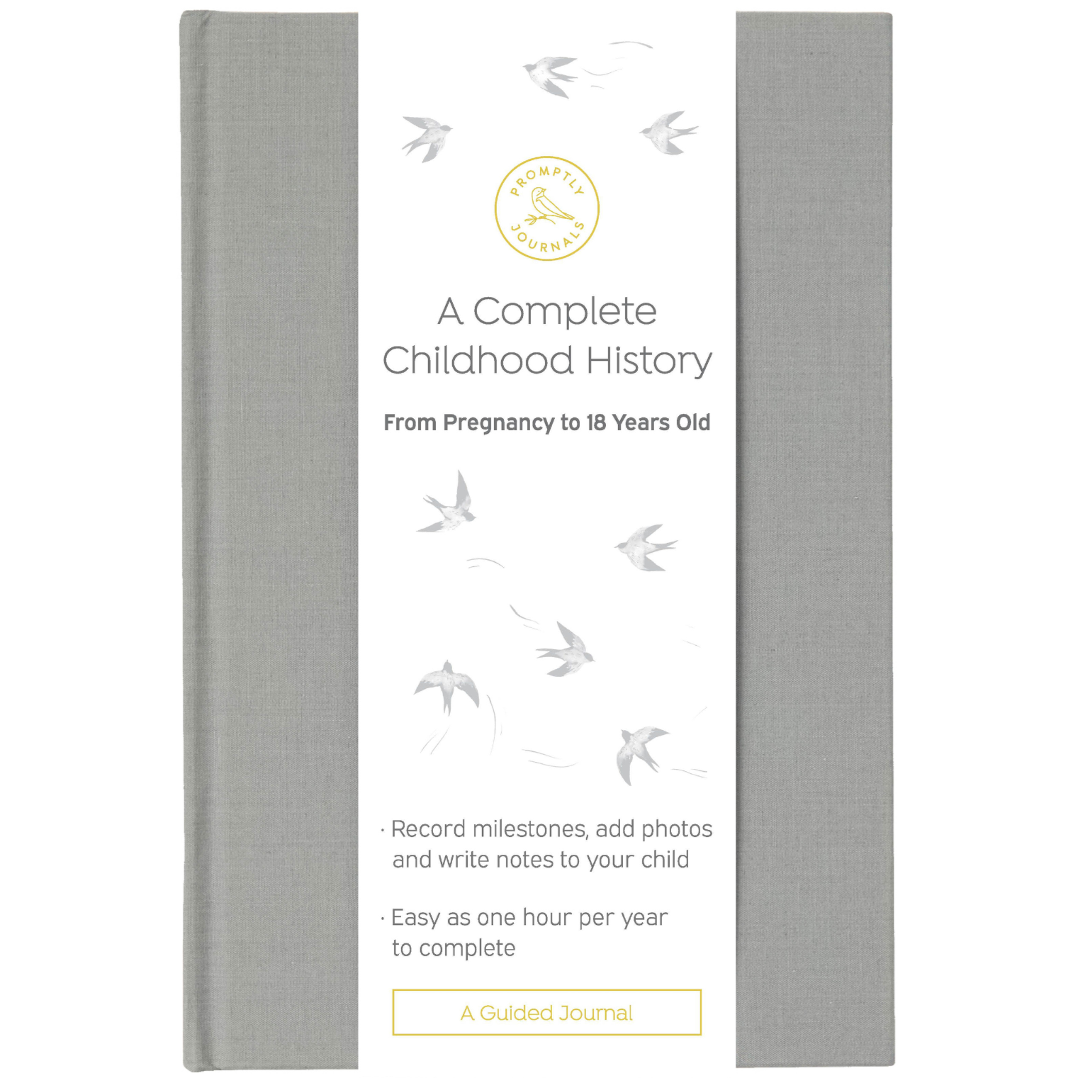 A Complete Childhood History: From Pregnancy to 18 Years Old (Grey, Linen) by Promptly Journals