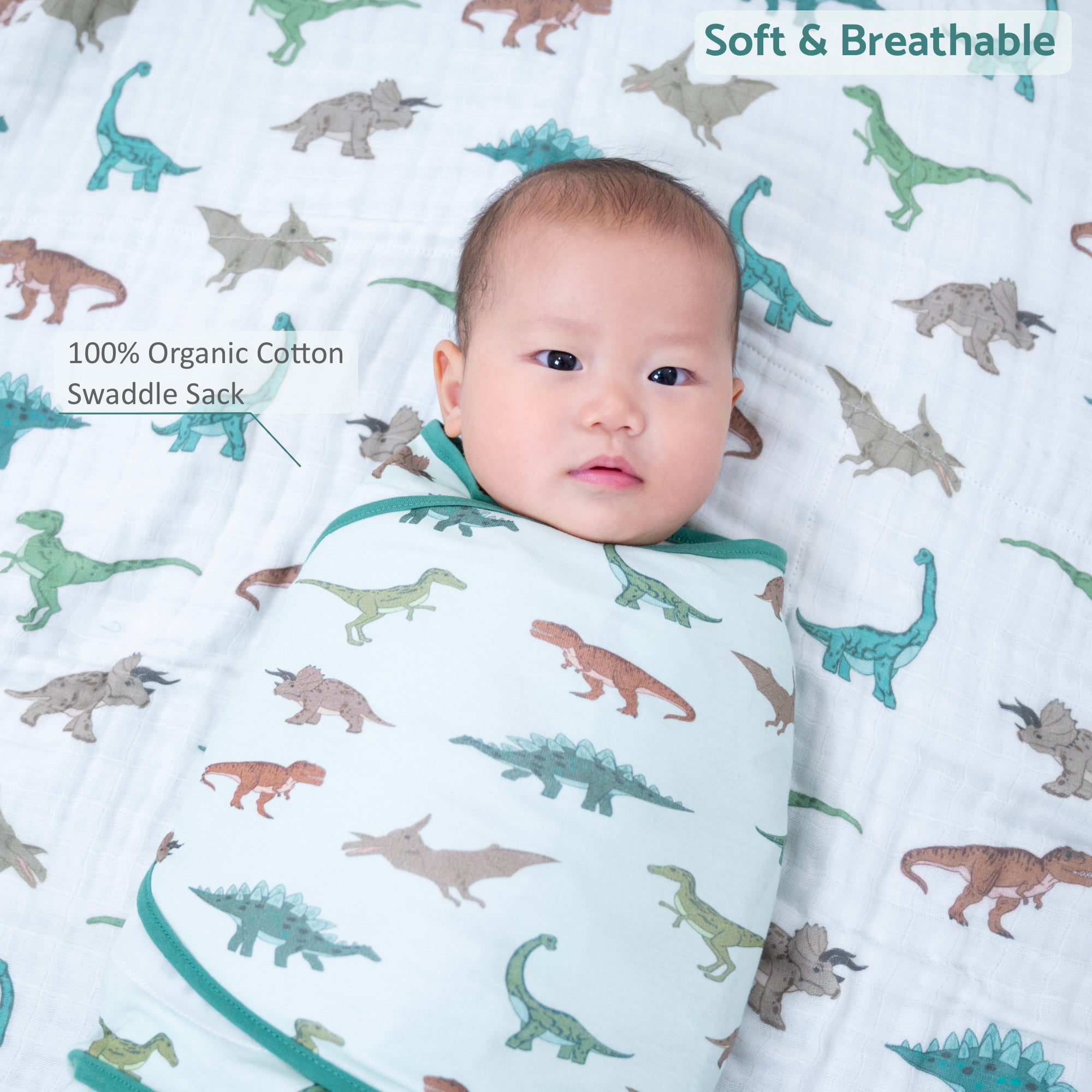 Have A T-rexcellent Day Swaddle Sack