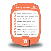 Flying Squirrel Collection