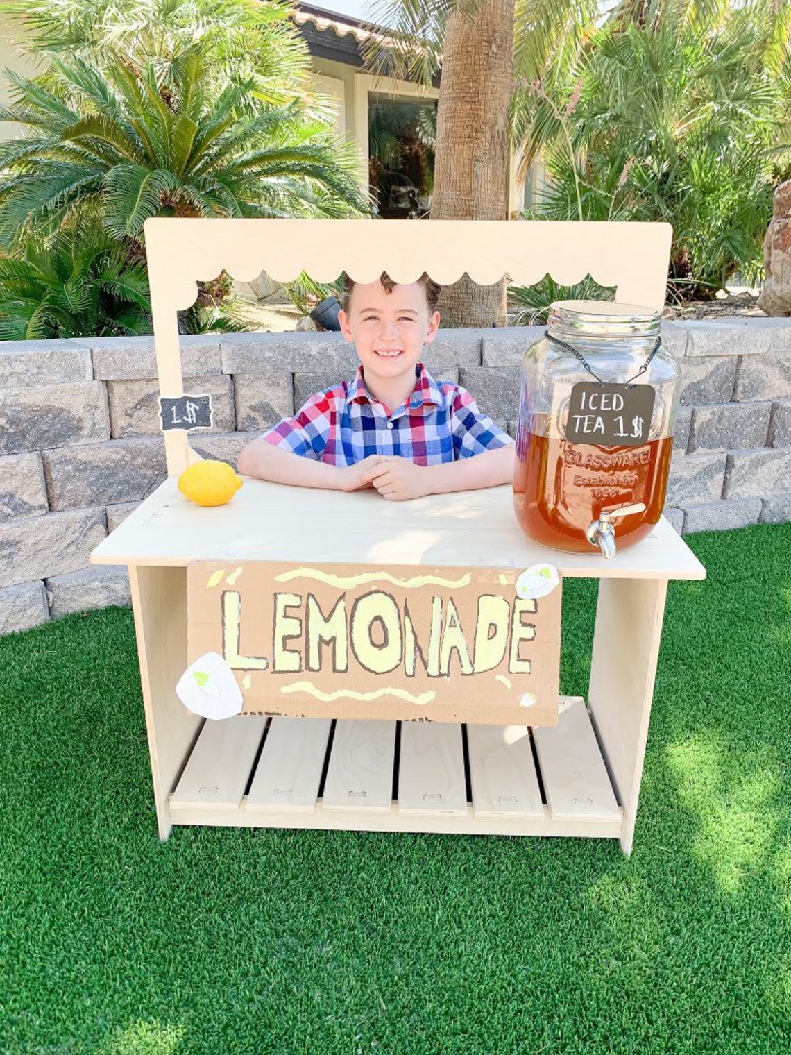 Paige- Lemonade Stand