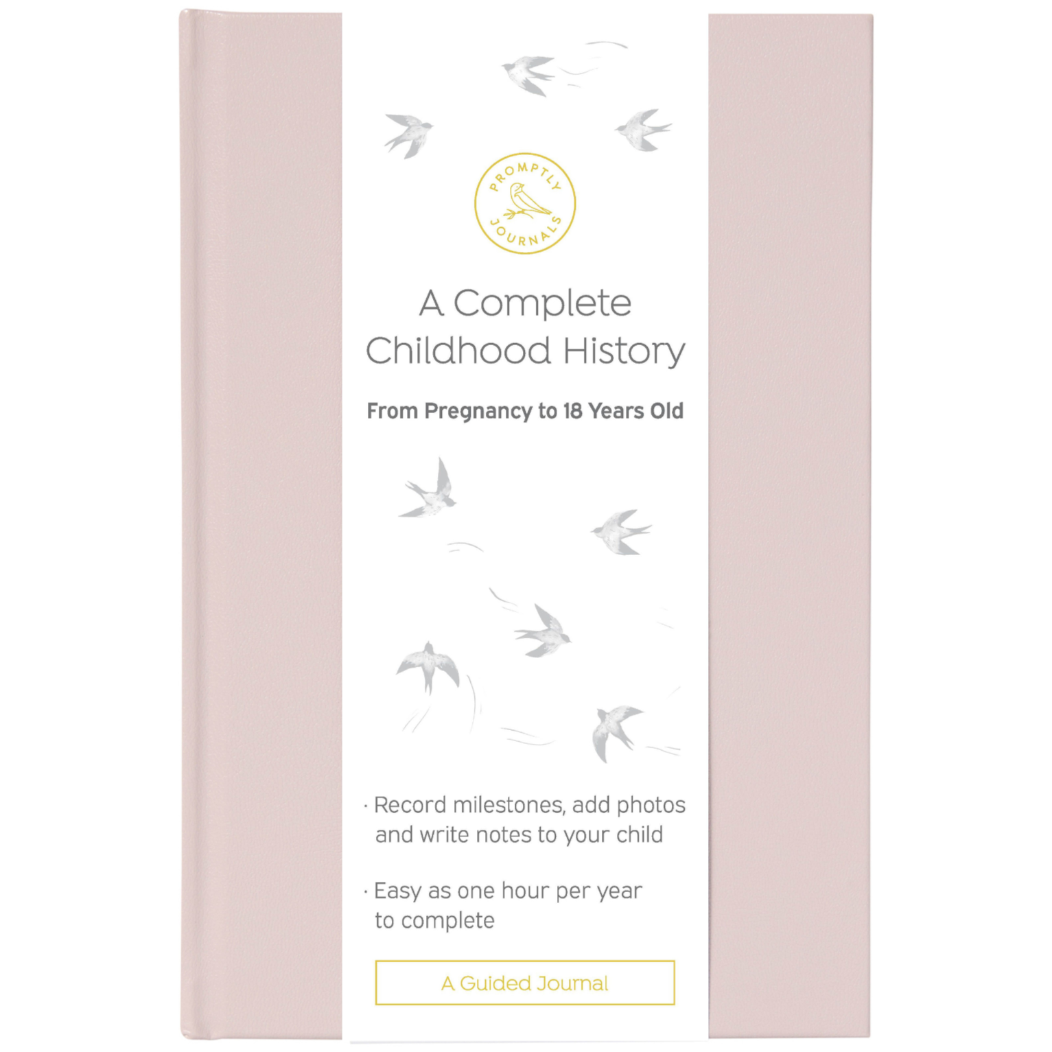 A Complete Childhood History: From Pregnancy to 18 Years Old (Powdered Lilac, Leatherette) by Promptly Journals