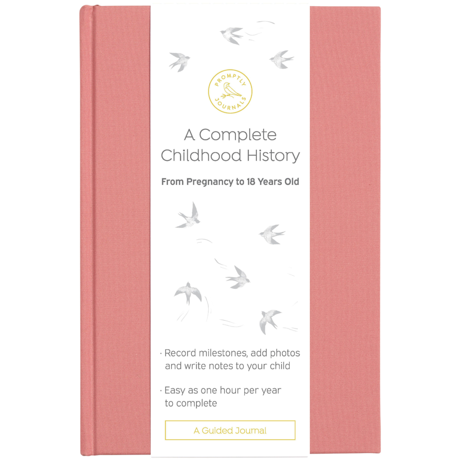 A Complete Childhood History: From Pregnancy to 18 Years Old (Dusty Rose, Linen) by Promptly Journals