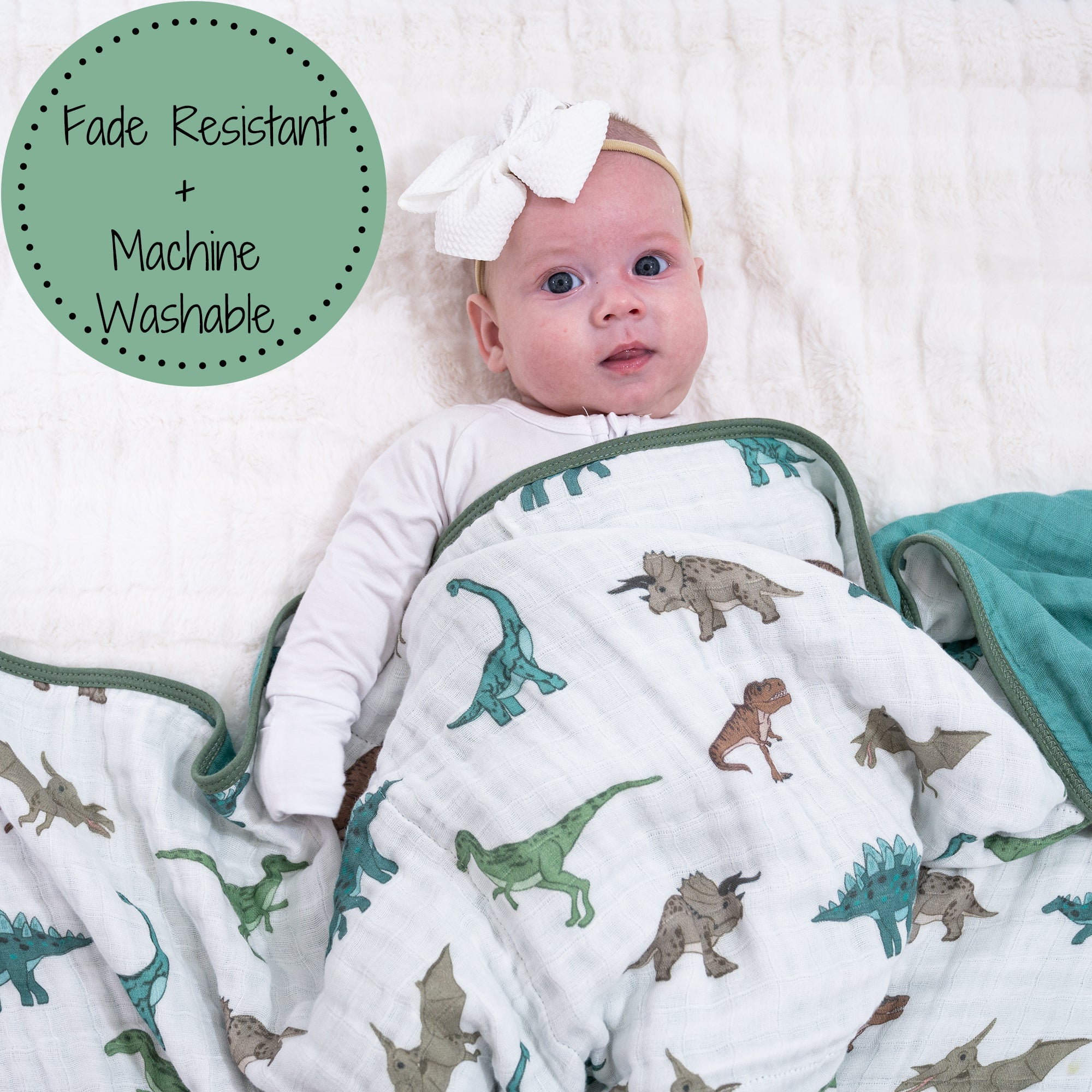 Have A T-rexcellent Day Quilt