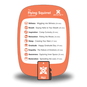 Flying Squirrel Collection