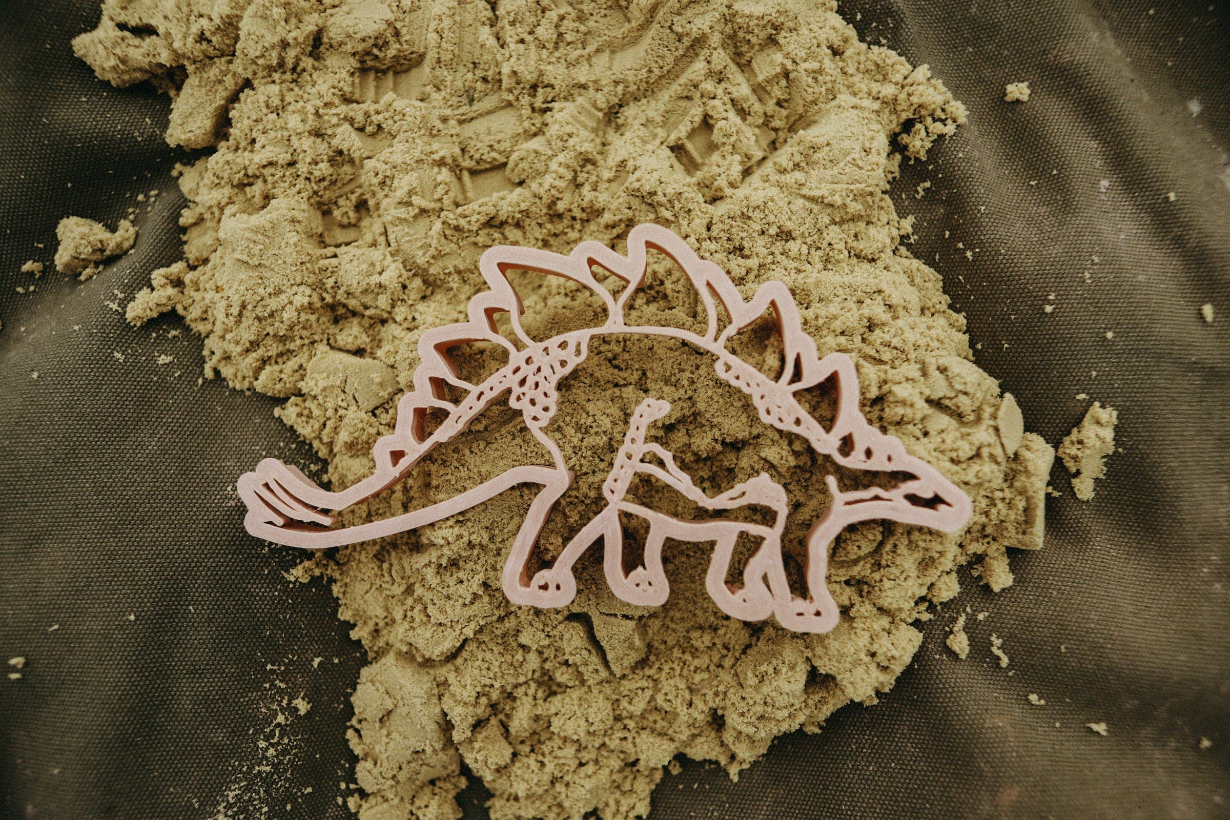 Stegosaurus Dino Eco Cutter™ Play Doh Or Cookie Dough Cutter Dinosaur