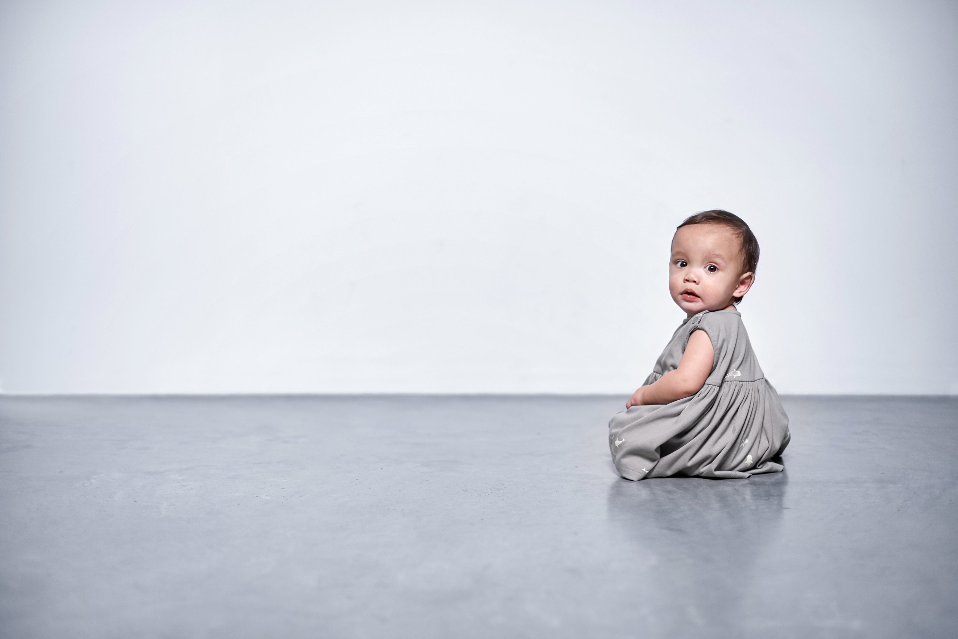 Baby Fit & Flare Dress | Grey