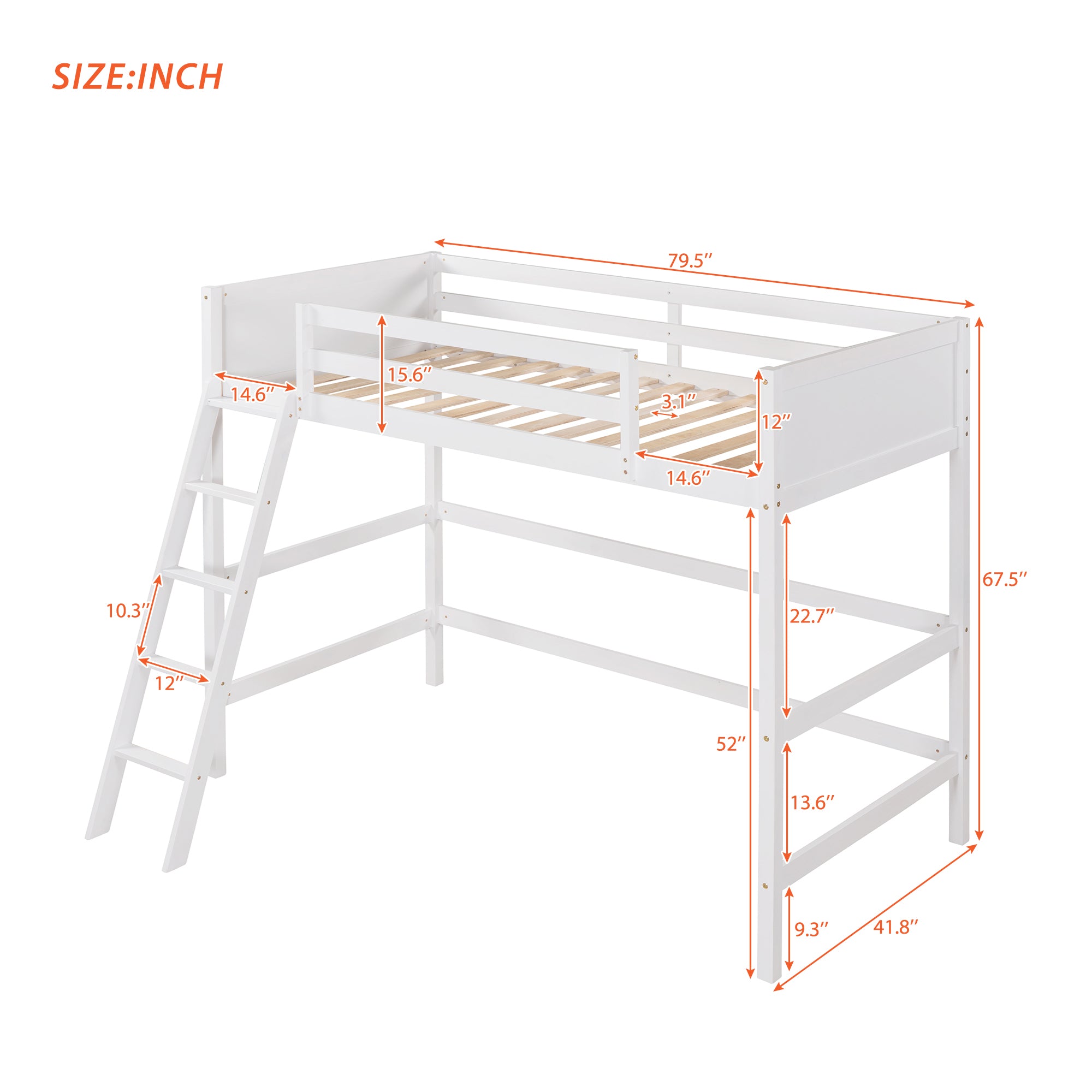 Solid Wood Twin Size Loft Bed with Ladder(White)