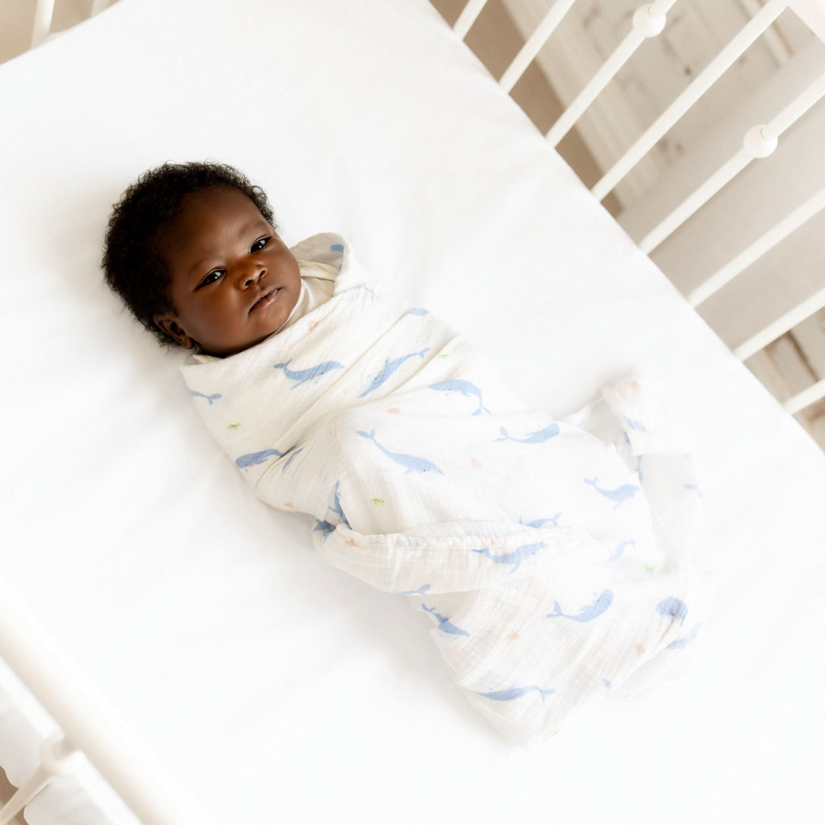 Whale Swaddle