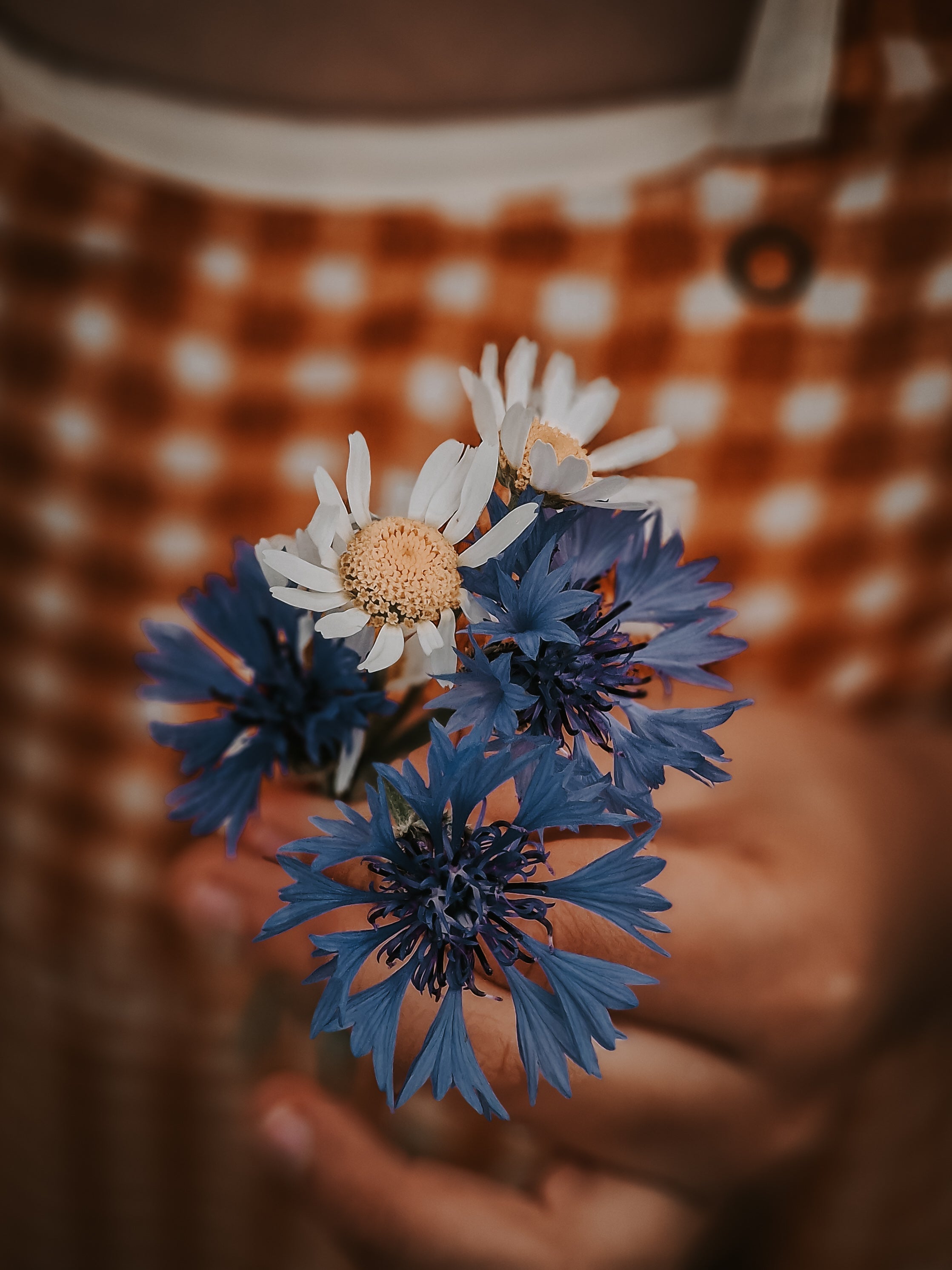 Bathing  Towel Poncho | Organic Cotton - Sienna Gingham